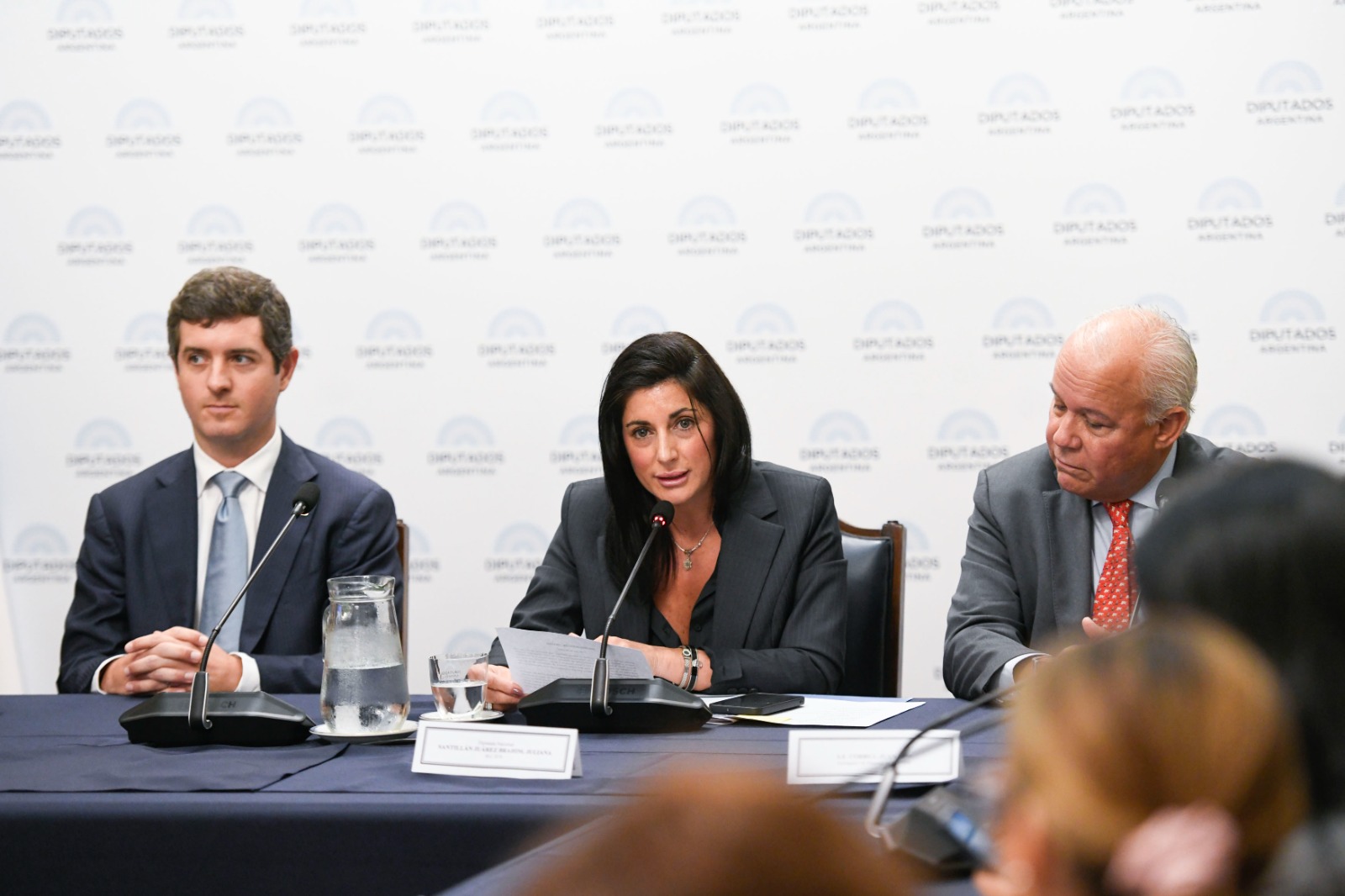 Galeria de imagenes de la noticia EL GRUPO PARLAMENTARIO DE AMISTAD CON PANAMÁ RECIBIÓ AL VICECANCILLER CARLOS HOYOS