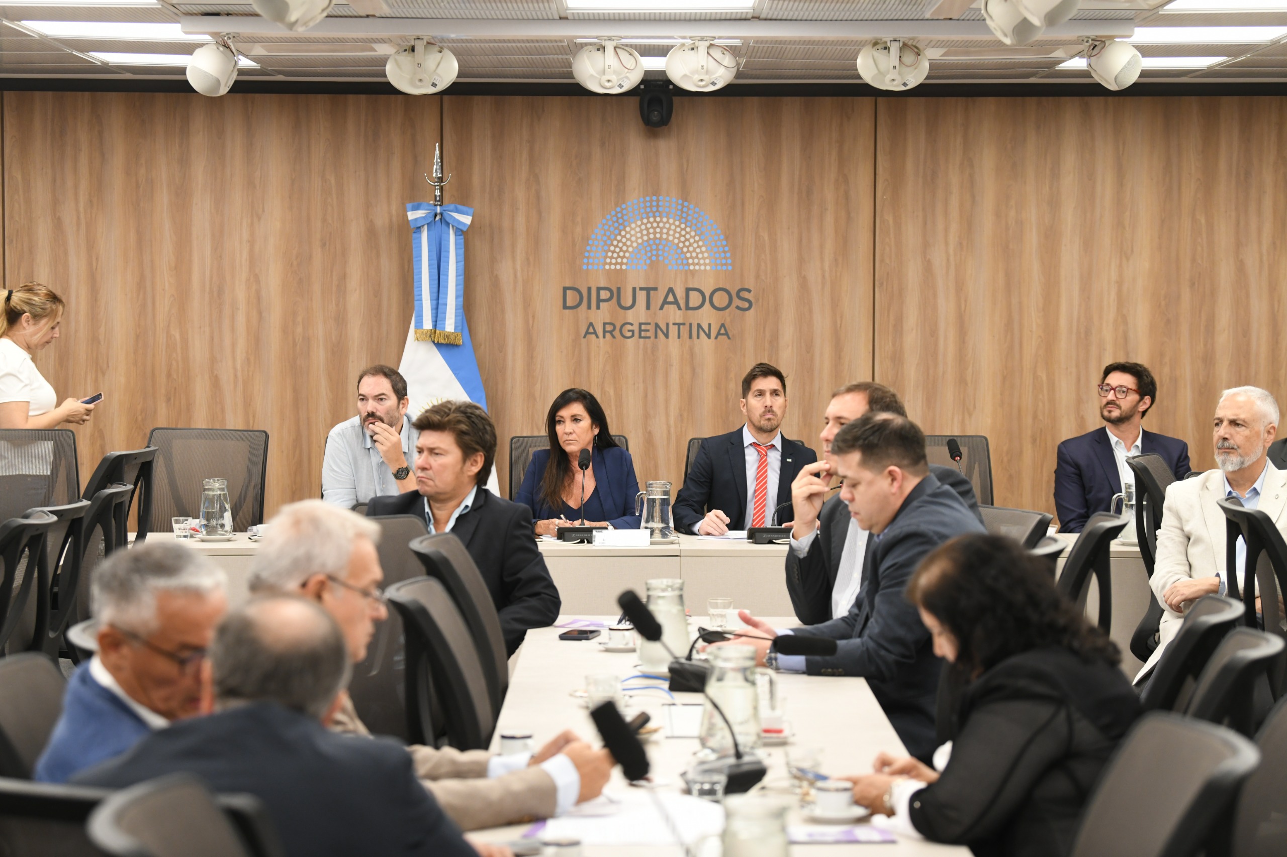 Galeria de imagenes de la noticia ASOCIACIONES DE VÍCTIMAS DE SINIESTROS VIALES EXPUSIERON ANTE LA COMISIÓN DE LEGISLACIÓN PENAL