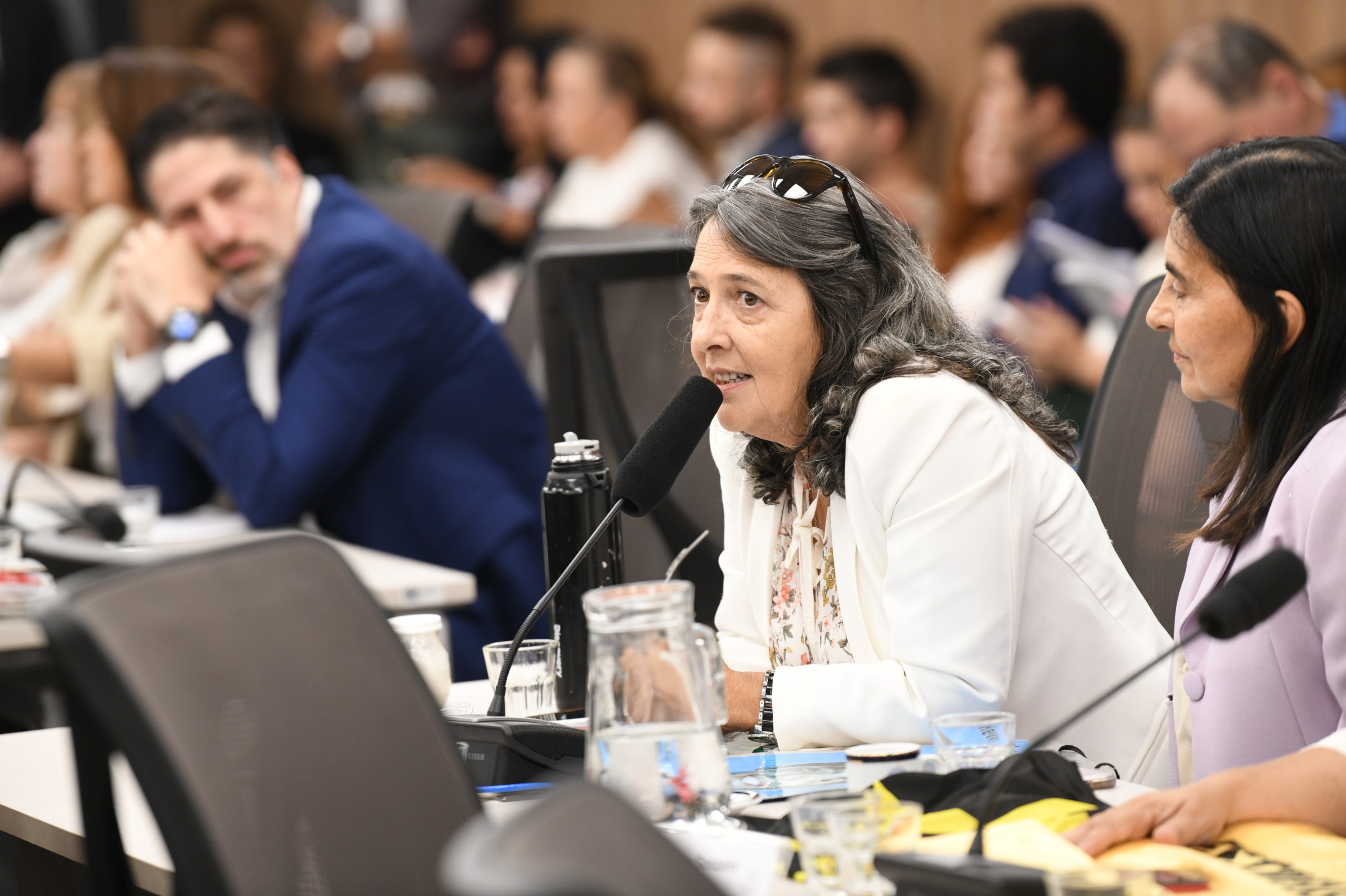 Galeria de imagenes de la noticia ASOCIACIONES DE VÍCTIMAS DE SINIESTROS VIALES EXPUSIERON ANTE LA COMISIÓN DE LEGISLACIÓN PENAL