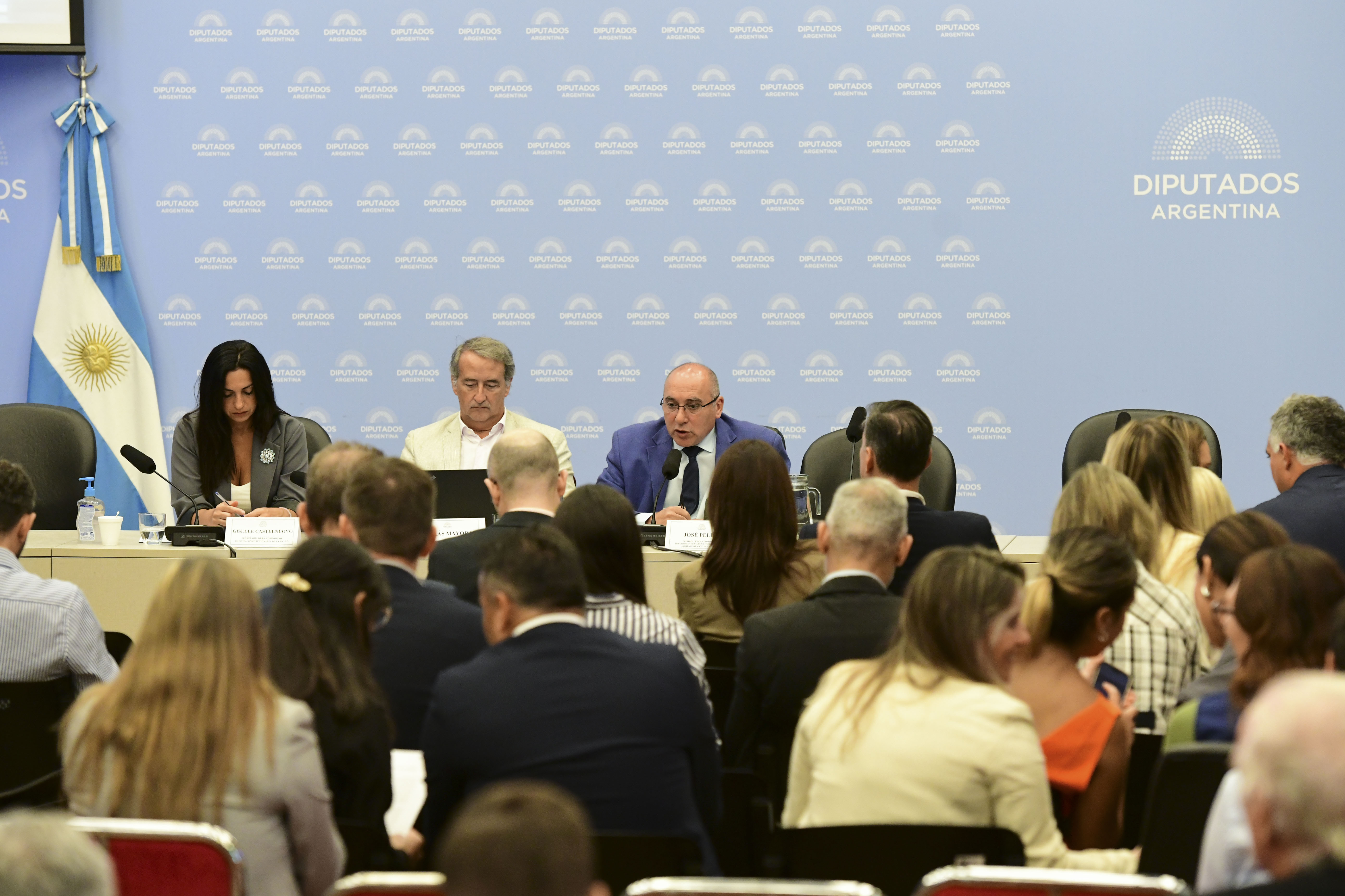 Galeria de imagenes de la noticia DIPUTADOS: FINALIZARON LAS AUDIENCIAS PÚBLICAS POR LA MODIFICACIÓN DE LA LEY DE GLACIARES