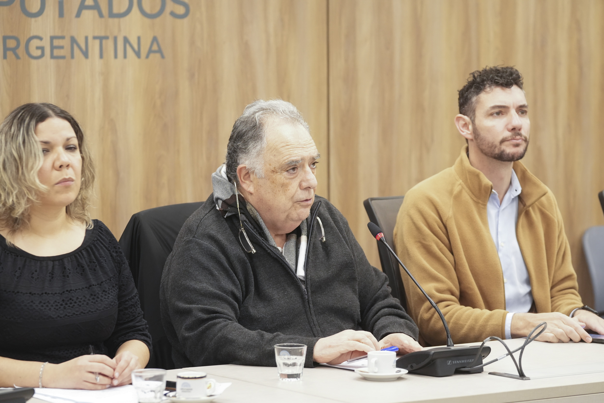 Galeria de imagenes de la noticia DESIGNARON AUTORIDADES VACANTES EN CUATRO COMISIONES DE LA CÁMARA DE DIPUTADOS 