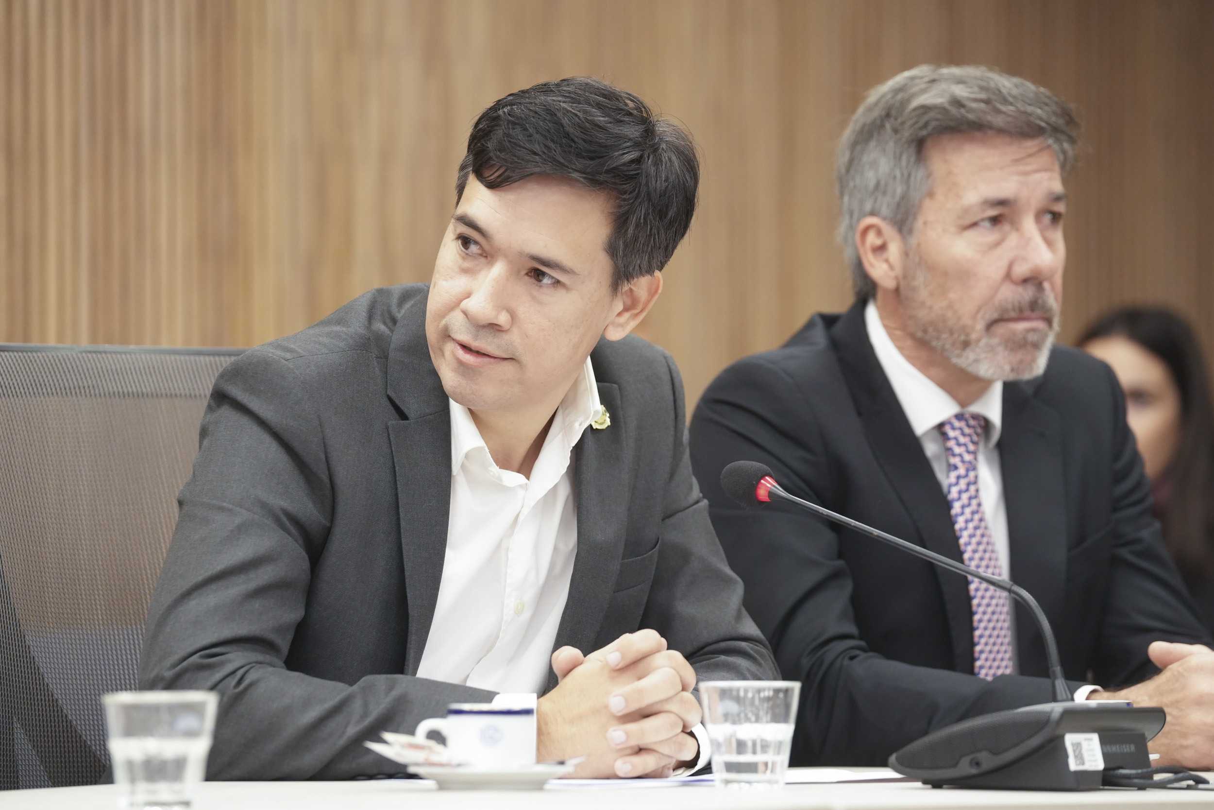 Galeria de imagenes de la noticia DESIGNARON AUTORIDADES VACANTES EN CUATRO COMISIONES DE LA CÁMARA DE DIPUTADOS 