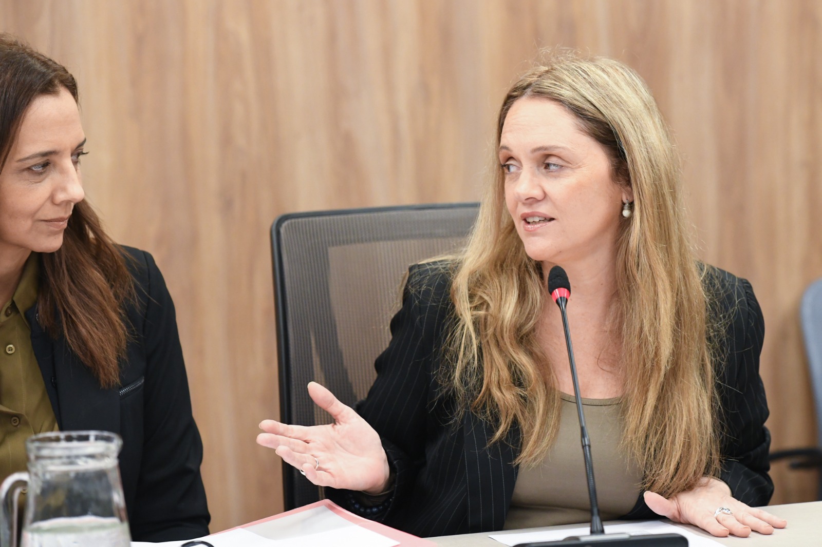 Galeria de imagenes de la noticia DESIGNARON AUTORIDADES VACANTES EN CUATRO COMISIONES DE LA CÁMARA DE DIPUTADOS 
