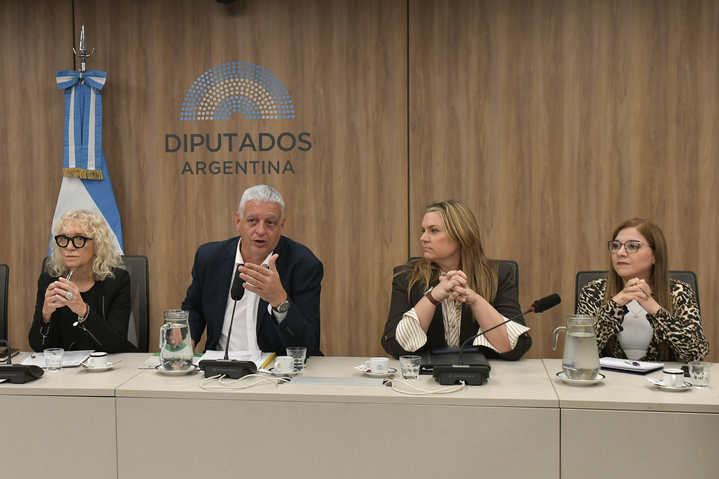 Galeria de imagenes de la noticia LA COMISIÓN DE DERECHOS HUMANOS RECIBIÓ A DISTINTAS ORGANIZACIONES SOCIALES