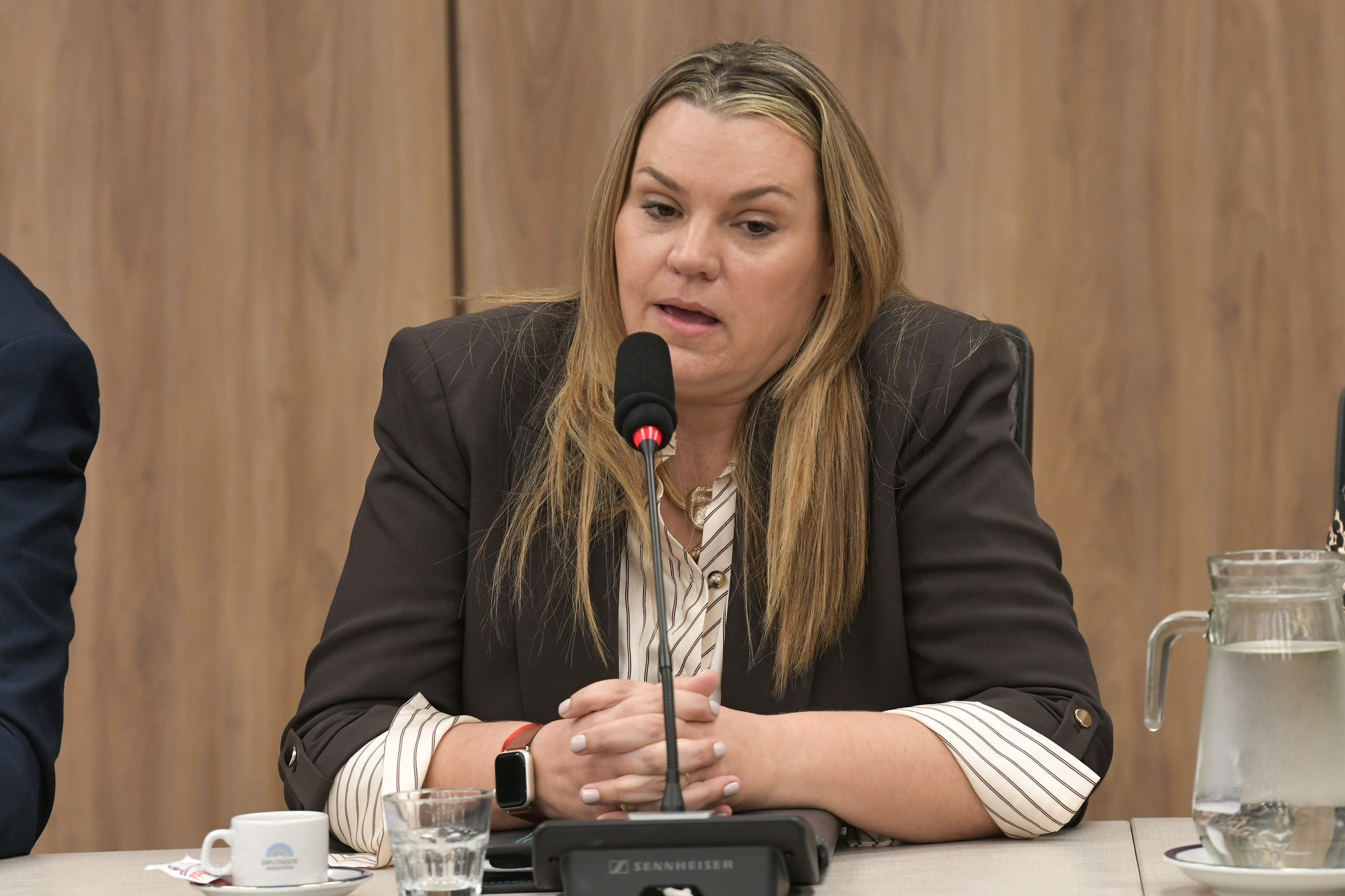 Galeria de imagenes de la noticia LA COMISIÓN DE DERECHOS HUMANOS RECIBIÓ A DISTINTAS ORGANIZACIONES SOCIALES