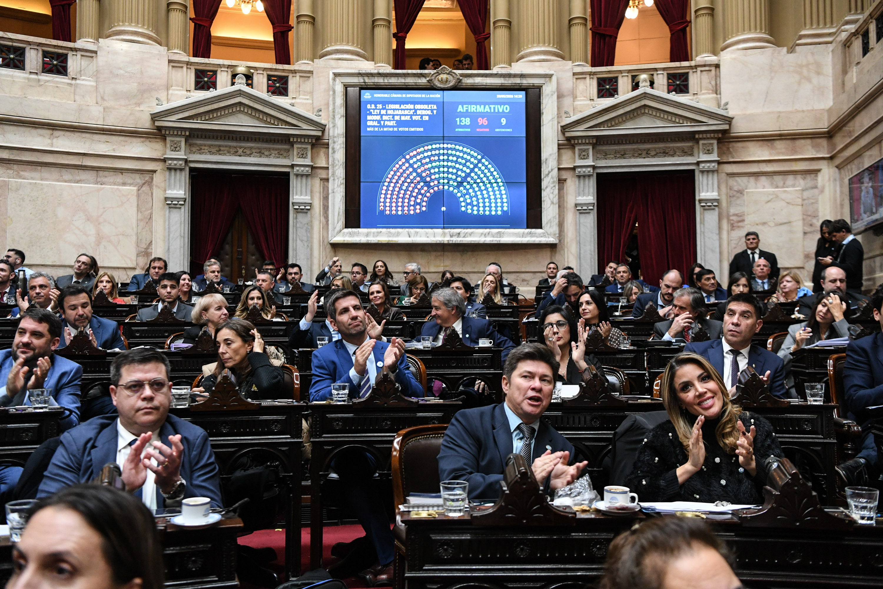 Galeria de imagenes de la noticia DIPUTADOS DIO MEDIA SANCIÓN AL PROYECTO DE “LEY HOJARASCA”
