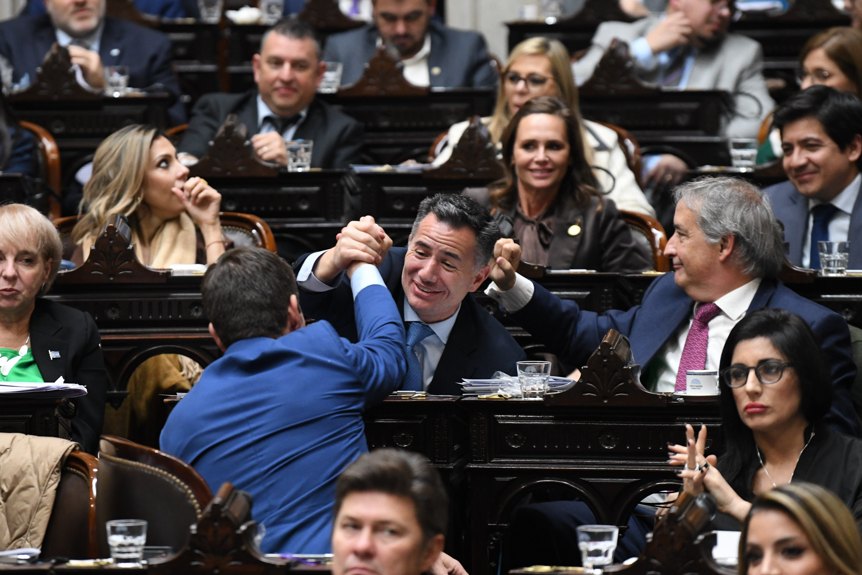 Galeria de imagenes de la noticia DIPUTADOS DIO MEDIA SANCIÓN AL PROYECTO DE “LEY HOJARASCA”
