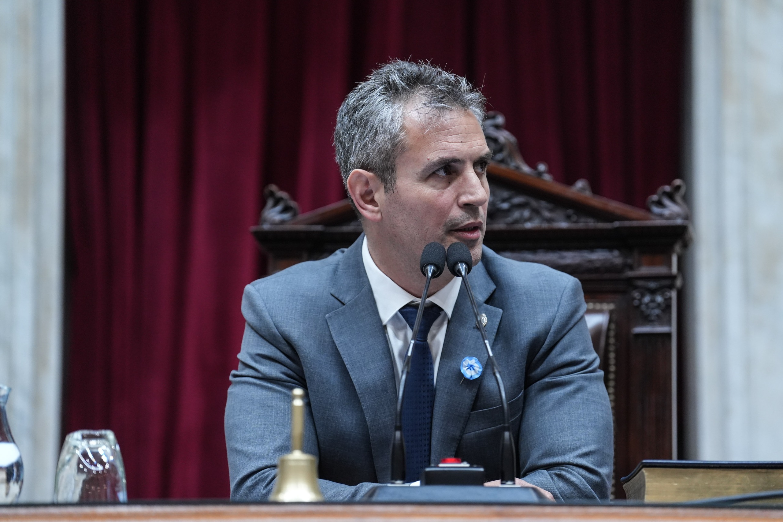 Galeria de imagenes de la noticia DIPUTADOS DIO MEDIA SANCIÓN AL PROYECTO DE “LEY HOJARASCA”