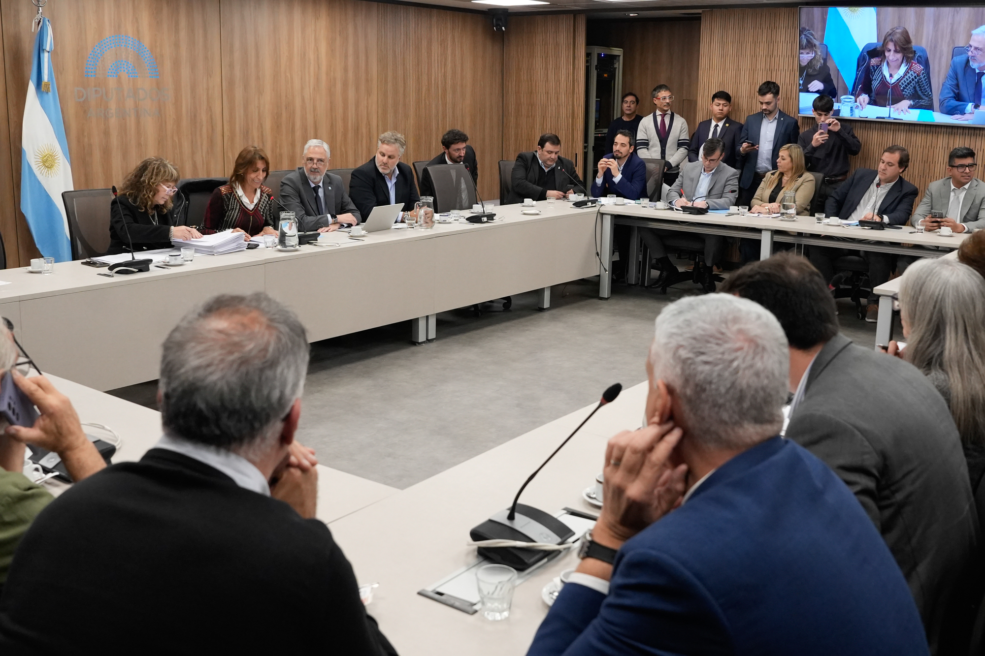 Galeria de imagenes de la noticia LA COMISIÓN DE POBLACIÓN DEBATIÓ UN PROYECTO QUE BUSCA CENSAR A LOS ELECTRODEPENDIENTES