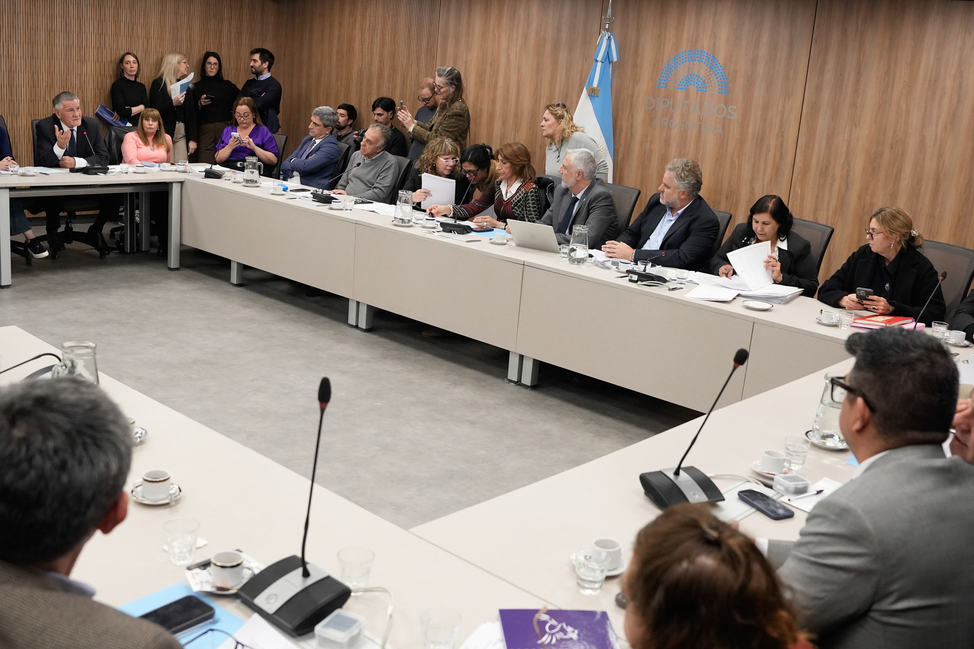 Galeria de imagenes de la noticia LA COMISIÓN DE POBLACIÓN DEBATIÓ UN PROYECTO QUE BUSCA CENSAR A LOS ELECTRODEPENDIENTES