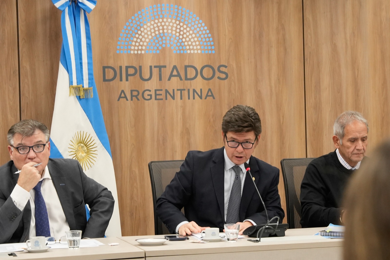 Galeria de imagenes de la noticia DIPUTADOS DESIGNÓ NUEVAS AUTORIDADES EN COMISIONES DE TRABAJO Y FINANZAS