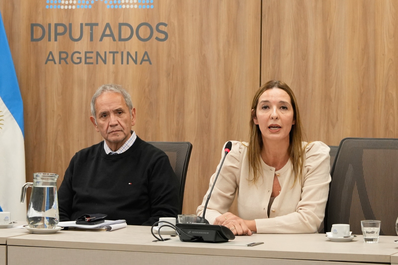 Galeria de imagenes de la noticia DIPUTADOS DESIGNÓ NUEVAS AUTORIDADES EN COMISIONES DE TRABAJO Y FINANZAS