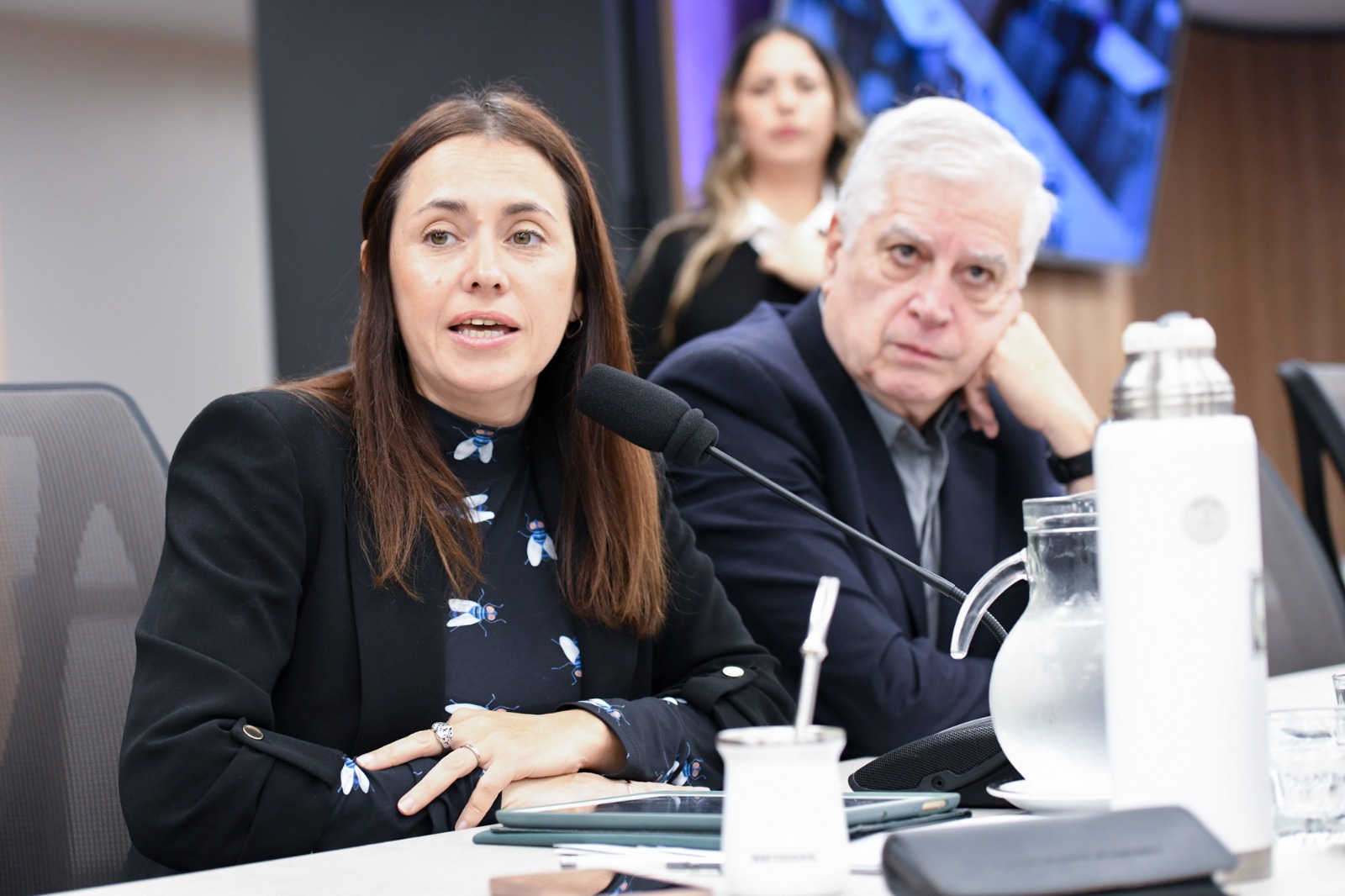Galeria de imagenes de la noticia REFERENTES DEL TURISMO SOCIAL EXPUSIERON ANTE UNA COMISIÓN EN DIPUTADOS
