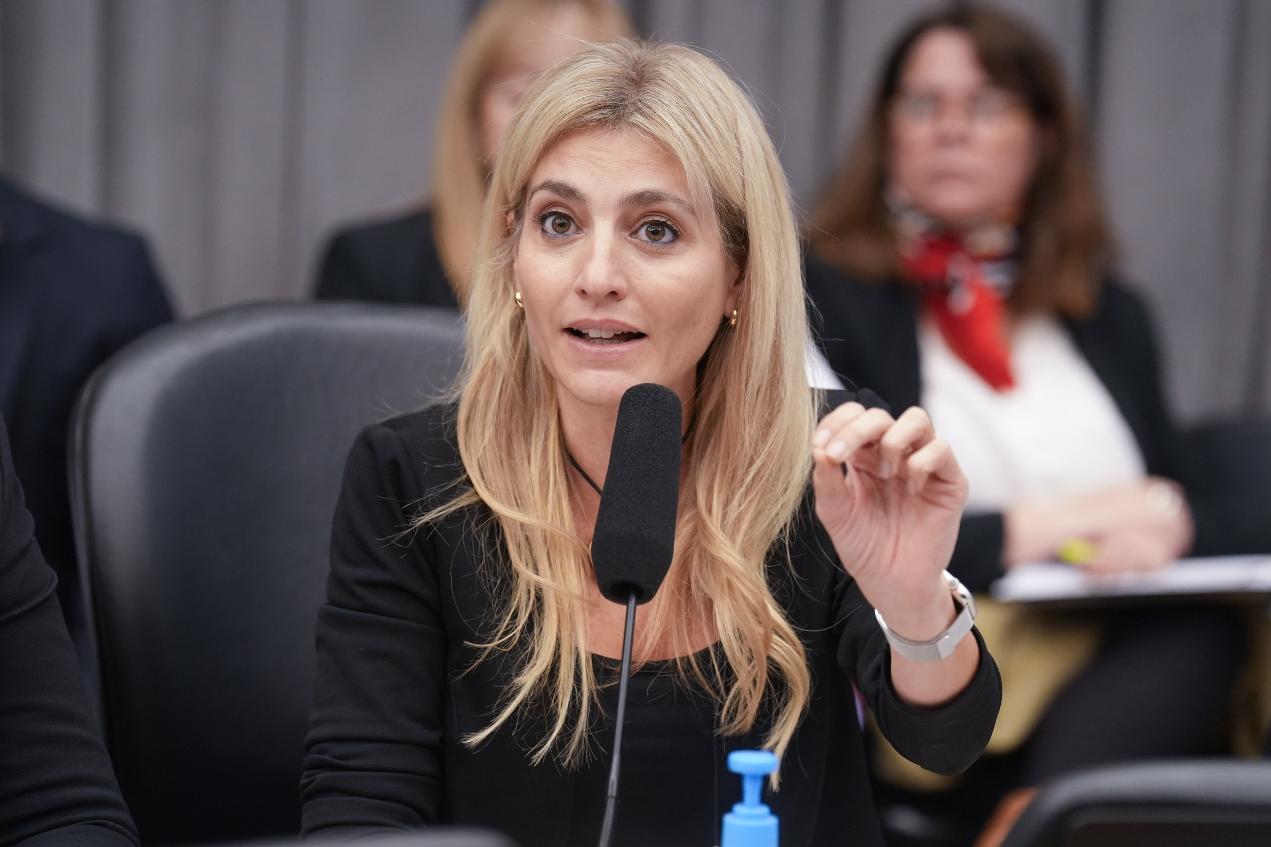 Galeria de imagenes de la noticia REPRESENTANTES DE LAS CÁMARAS EMPRESARIALES EXPUSIERON SOBRE EL RÉGIMEN DE INCENTIVO PARA GRANDES INVERSIONES