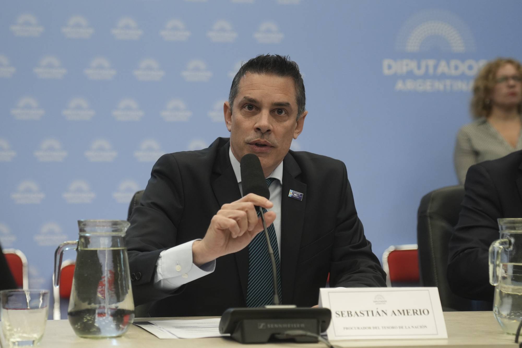 Galeria de imagenes de la noticia UN PLENARIO DE COMISIONES DICTAMINÓ A FAVOR DEL ACUERDO DE CONCILIACIÓN CON LOS HOLDOUTS