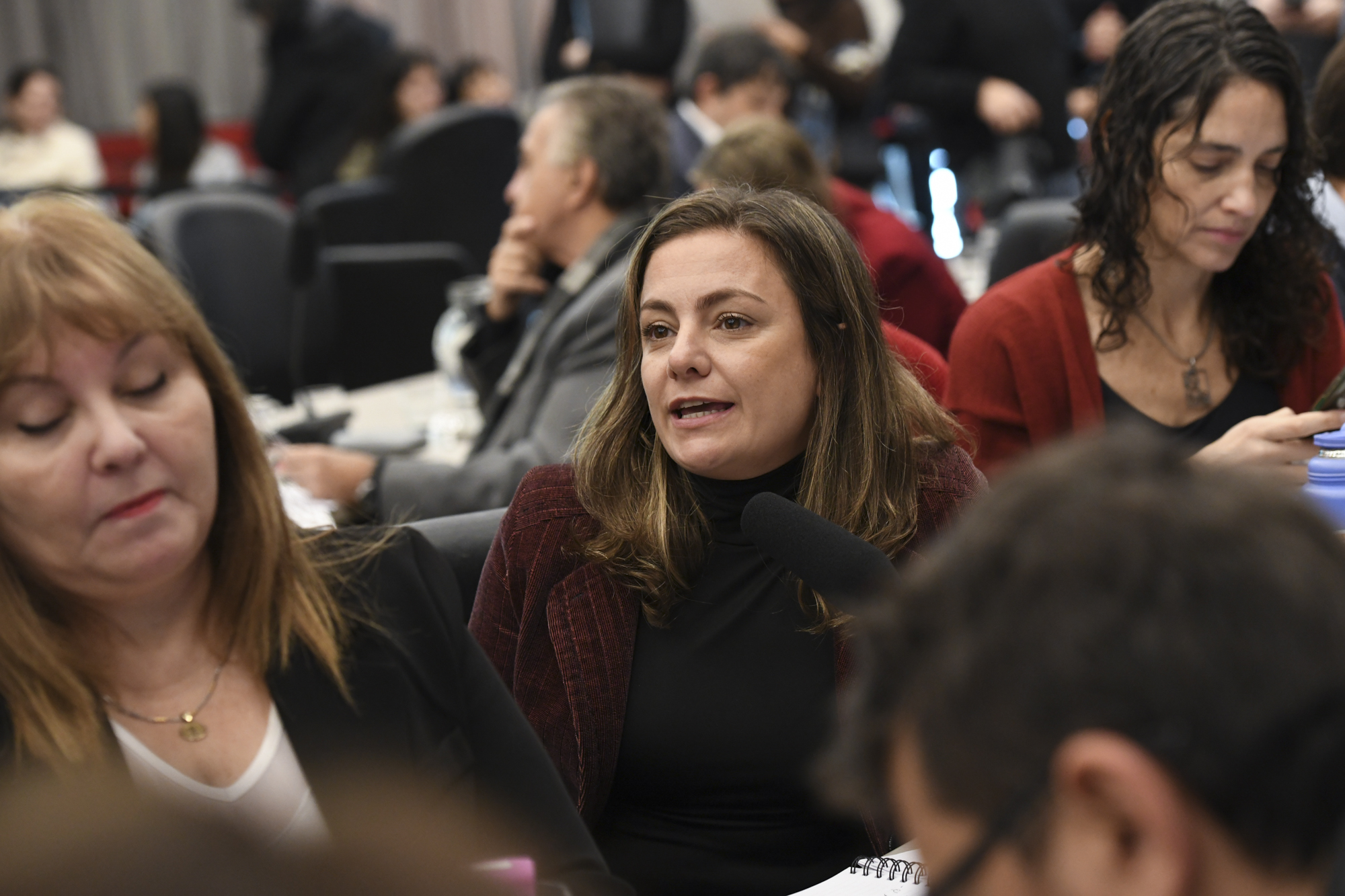 Galeria de imagenes de la noticia UN PLENARIO DE COMISIONES DICTAMINÓ A FAVOR DEL ACUERDO DE CONCILIACIÓN CON LOS HOLDOUTS