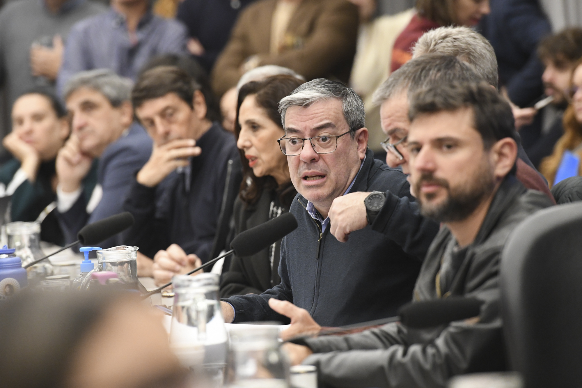 Galeria de imagenes de la noticia UN PLENARIO DE COMISIONES DICTAMINÓ A FAVOR DEL ACUERDO DE CONCILIACIÓN CON LOS HOLDOUTS