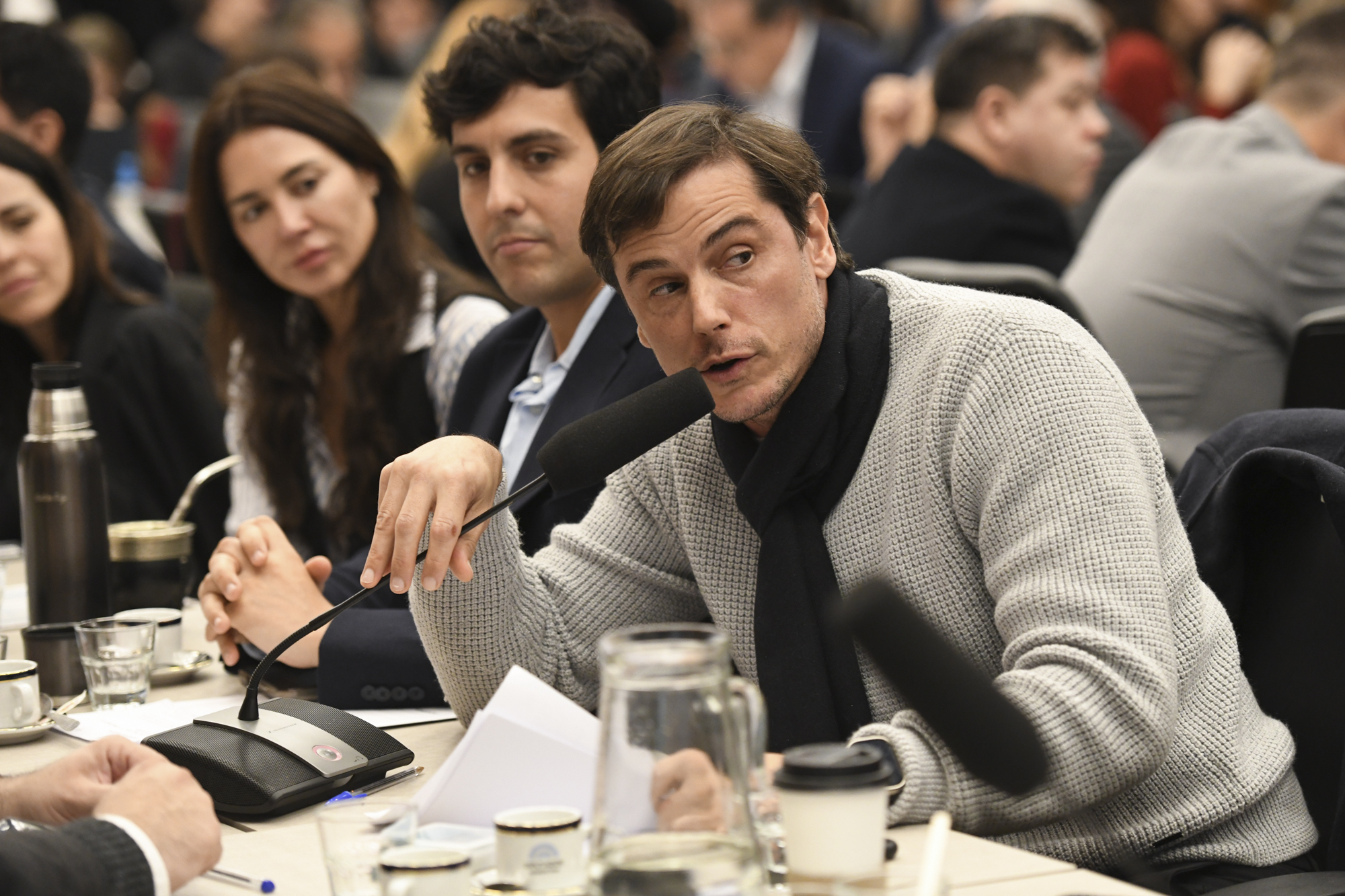 Galeria de imagenes de la noticia UN PLENARIO DE COMISIONES DICTAMINÓ A FAVOR DEL ACUERDO DE CONCILIACIÓN CON LOS HOLDOUTS