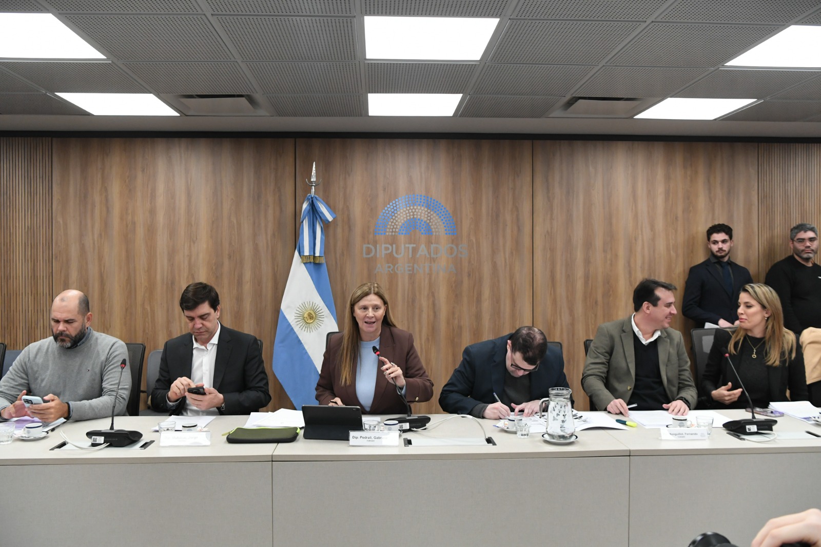 Galeria de imagenes de la noticia DIPUTADOS APROBÓ EN COMISIÓN DISTINTOS PROYECTOS VINCULADOS AL TURISMO