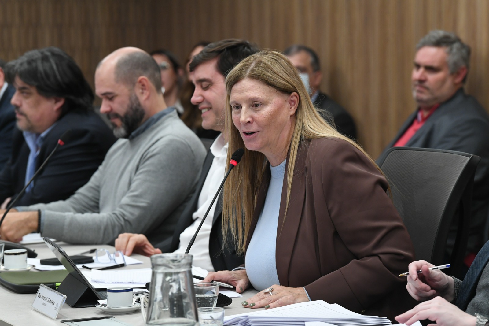 Galeria de imagenes de la noticia DIPUTADOS APROBÓ EN COMISIÓN DISTINTOS PROYECTOS VINCULADOS AL TURISMO