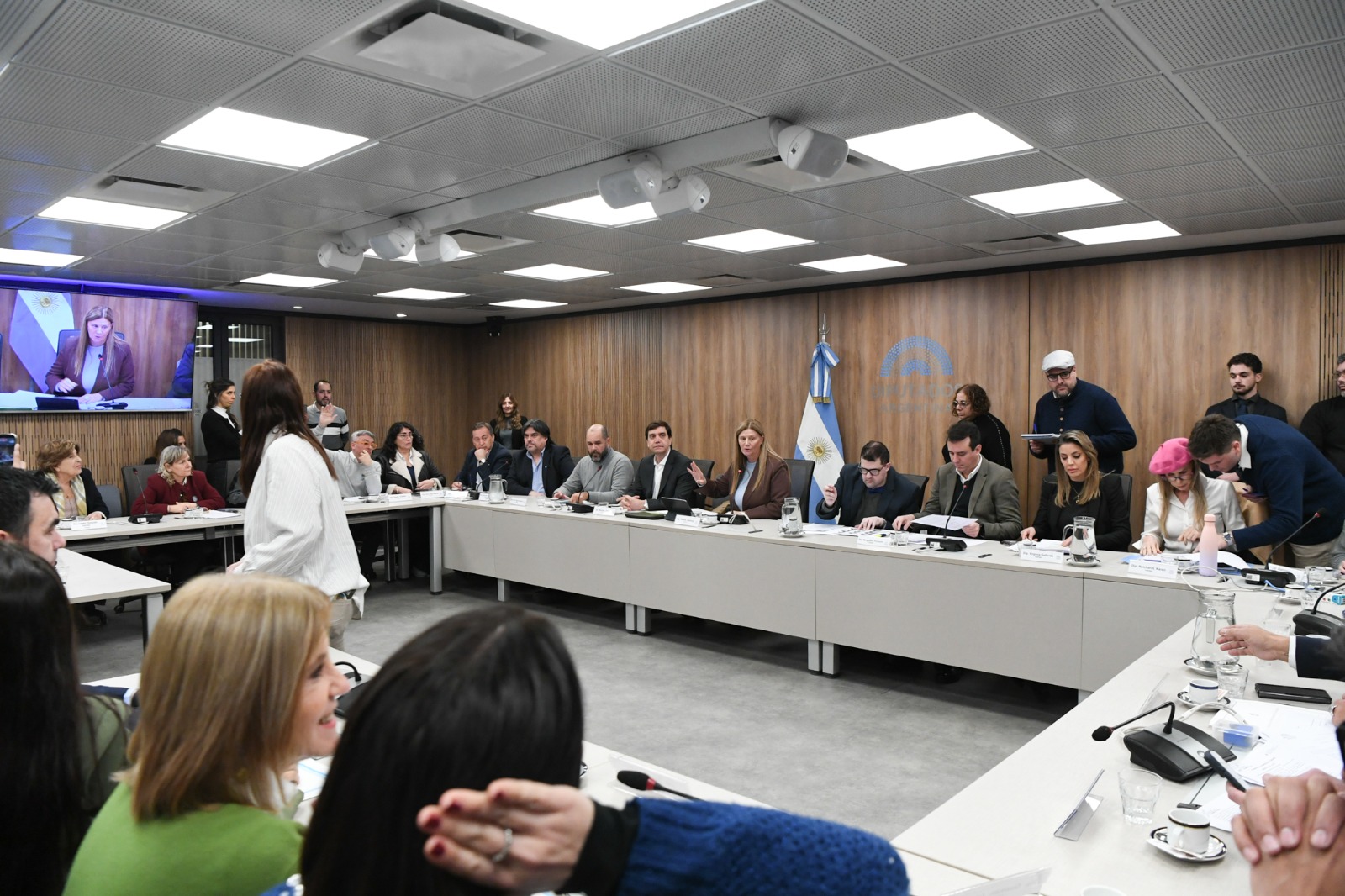 Galeria de imagenes de la noticia DIPUTADOS APROBÓ EN COMISIÓN DISTINTOS PROYECTOS VINCULADOS AL TURISMO