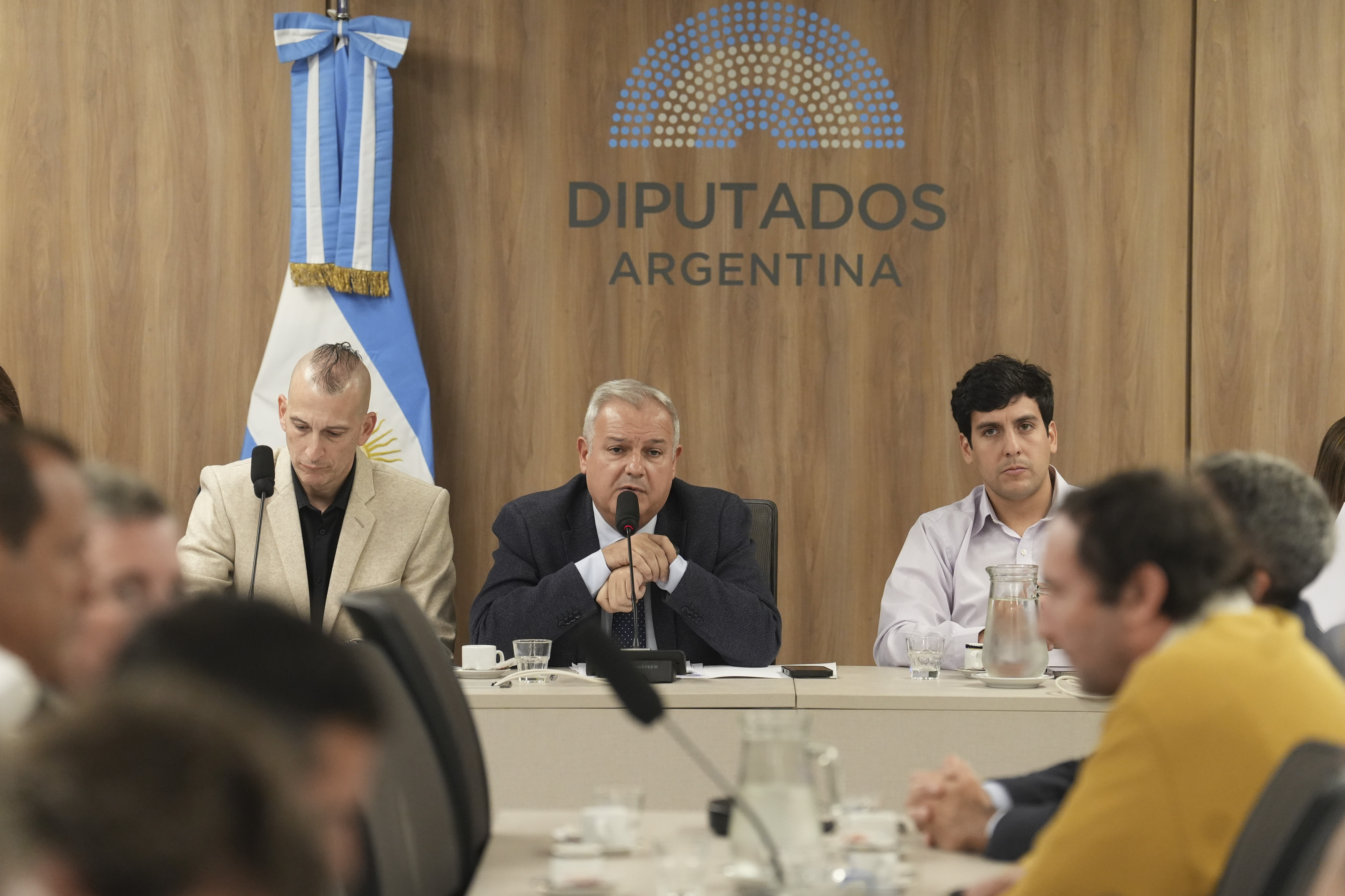 Galeria de imagenes de la noticia REPRESENTANTES DEL SECTOR EXPUSIERON ACERCA DE LA PRODUCCIÓN Y COMERCIALIZACIÓN DE LOS BIOCOMBUSTIBLES