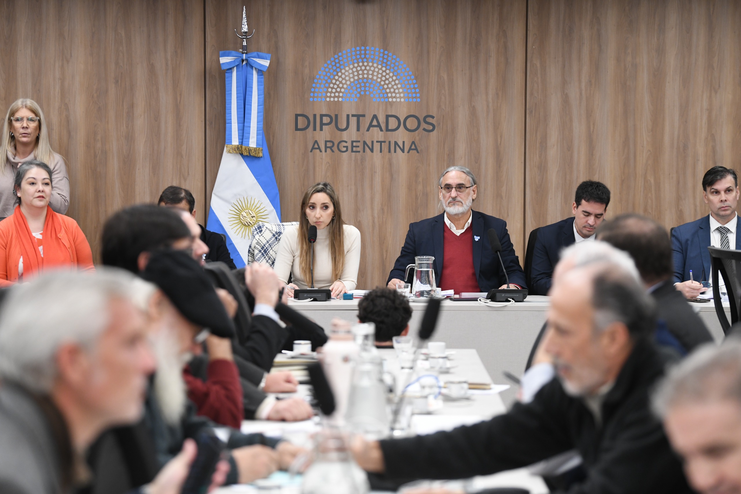 Galeria de imagenes de la noticia REFERENTES DE LA INDUSTRIA YERBATERA EXPUSIERON EN DIPUTADOS SOBRE LA SITUACIÓN DEL SECTOR