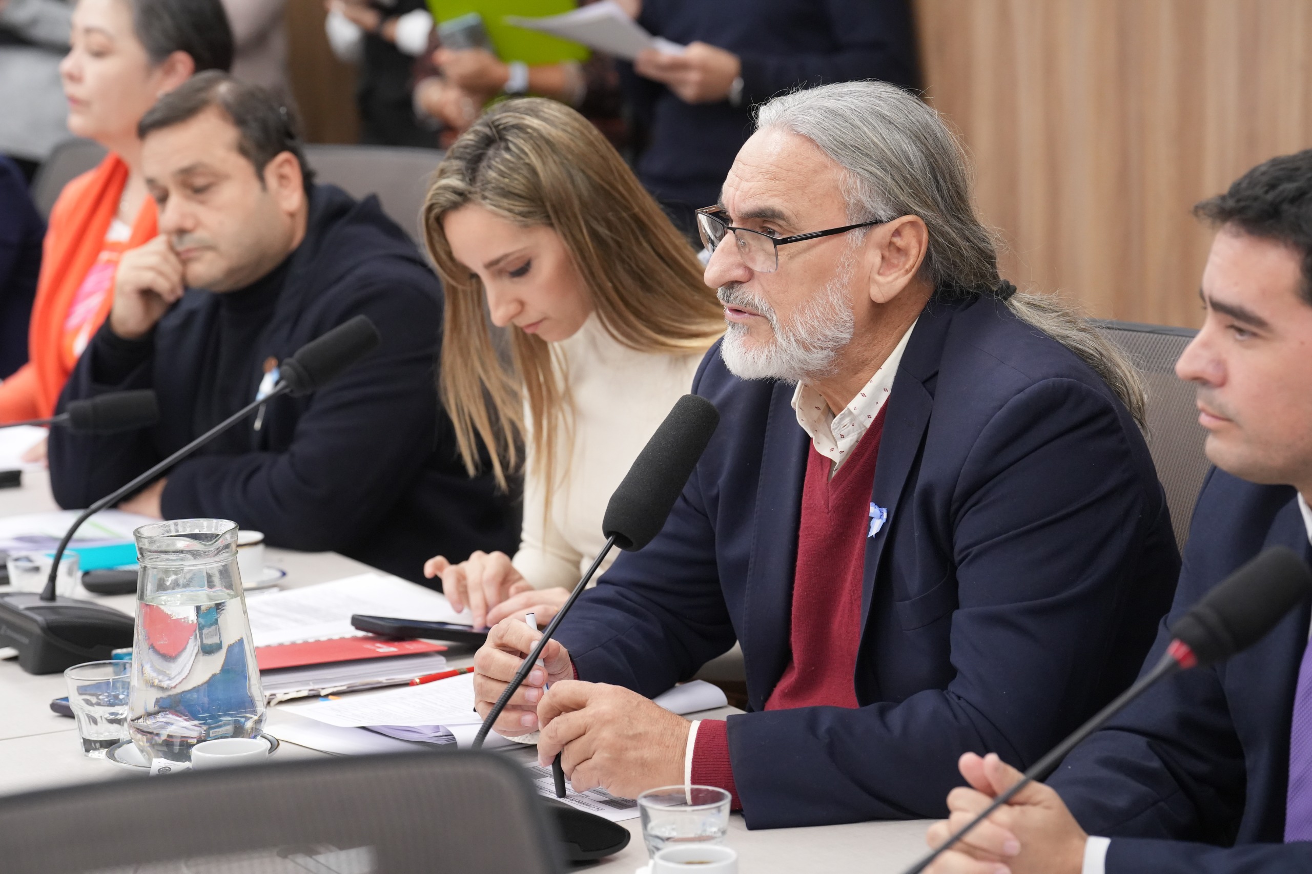 Galeria de imagenes de la noticia REFERENTES DE LA INDUSTRIA YERBATERA EXPUSIERON EN DIPUTADOS SOBRE LA SITUACIÓN DEL SECTOR