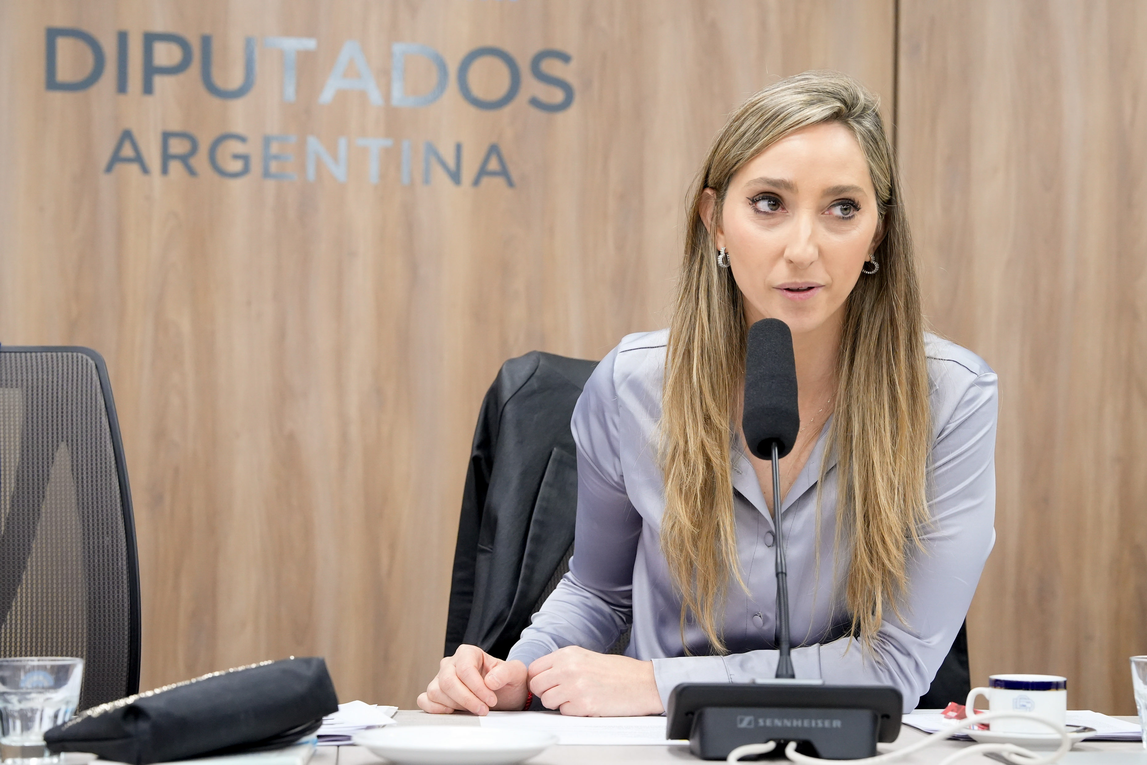 Galeria de imagenes de la noticia COMISIÓN DE ECONOMÍA RECIBIÓ A REFERENTES DE EMPRESAS Y TRABAJADORES PARA ANALIZAR LA SITUACIÓN DEL EMPLEO