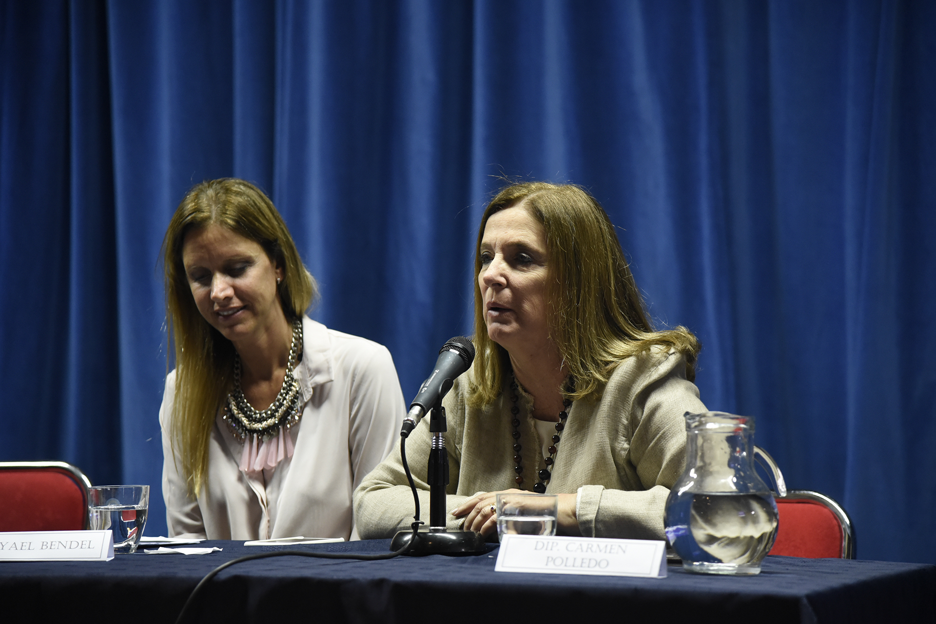 Galeria de imagenes de la noticia NIÑEZ SIN CUIDADOS PARENTALES: APORTES DESDE DIPUTADOS PARA MEJORAR EL RÉGIMEN DE ADOPCIÓN