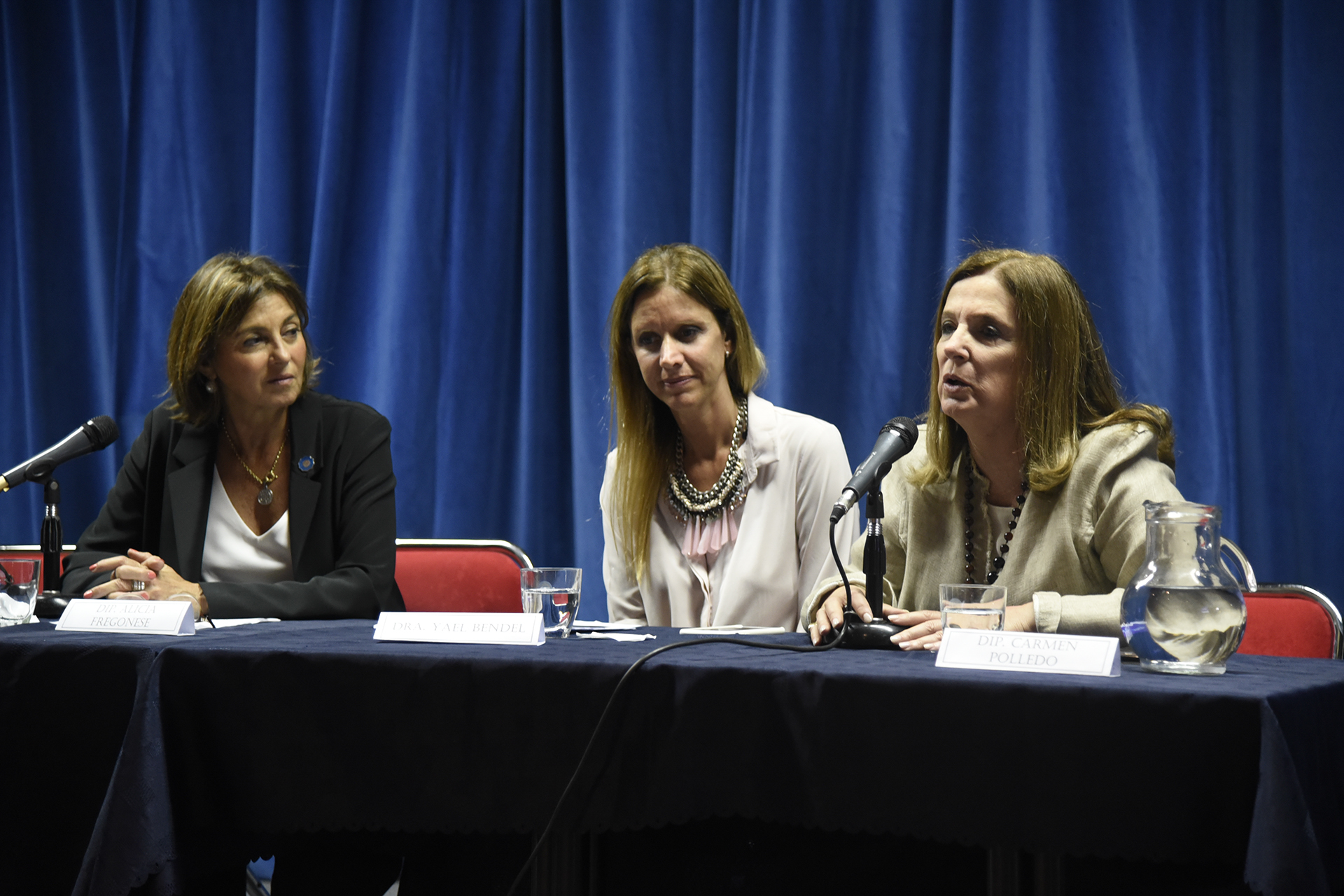 Galeria de imagenes de la noticia NIÑEZ SIN CUIDADOS PARENTALES: APORTES DESDE DIPUTADOS PARA MEJORAR EL RÉGIMEN DE ADOPCIÓN