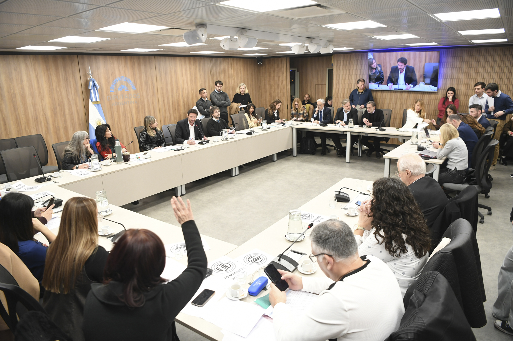 Galeria de imagenes de la noticia COMISIÓN DE CIENCIA, TECNOLOGÍA E INNOVACIÓN PRODUCTIVA ANALIZÓ PROYECTOS DE RESOLUCIÓN Y DECLARACIÓN