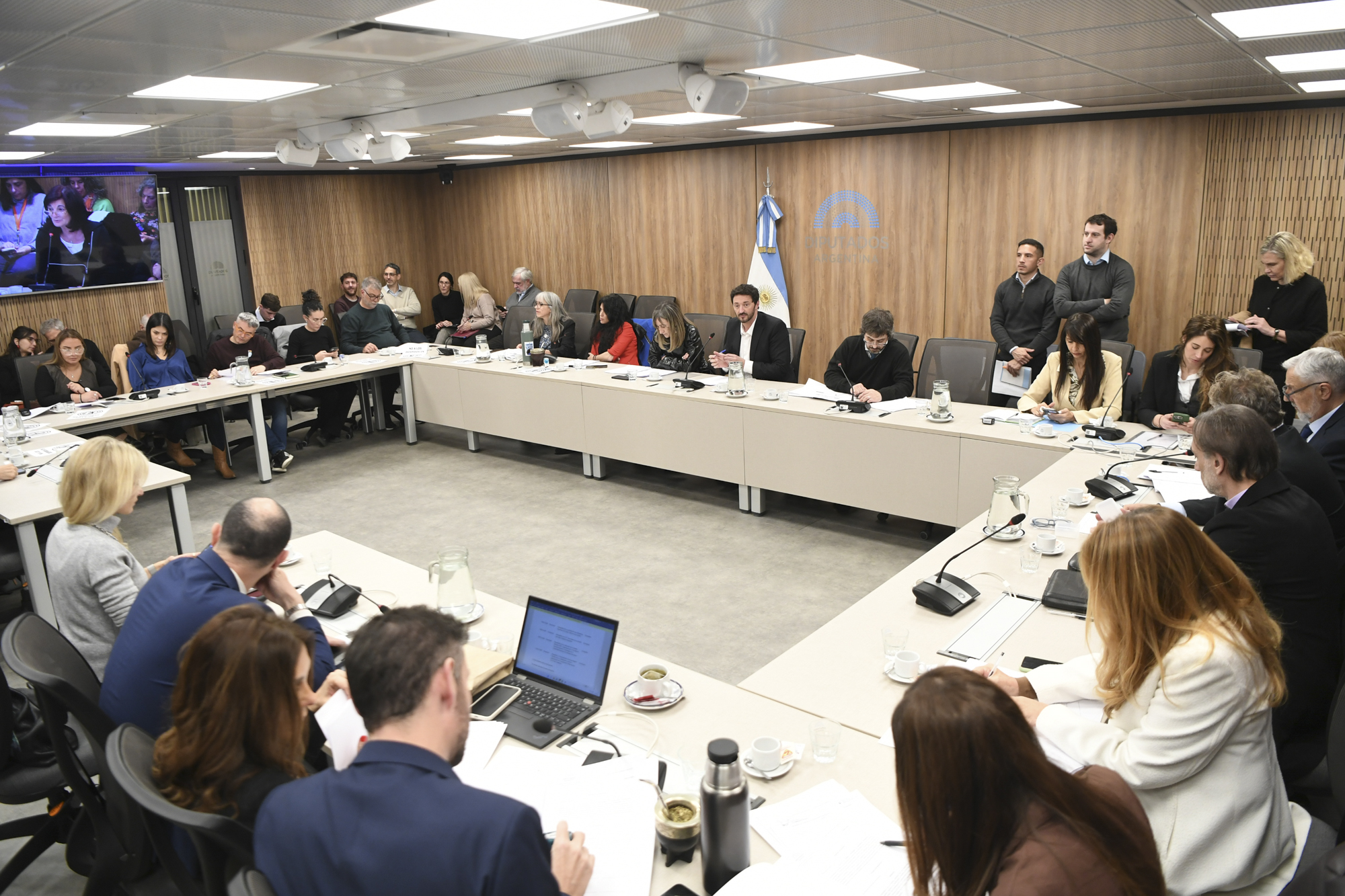 Galeria de imagenes de la noticia COMISIÓN DE CIENCIA, TECNOLOGÍA E INNOVACIÓN PRODUCTIVA ANALIZÓ PROYECTOS DE RESOLUCIÓN Y DECLARACIÓN