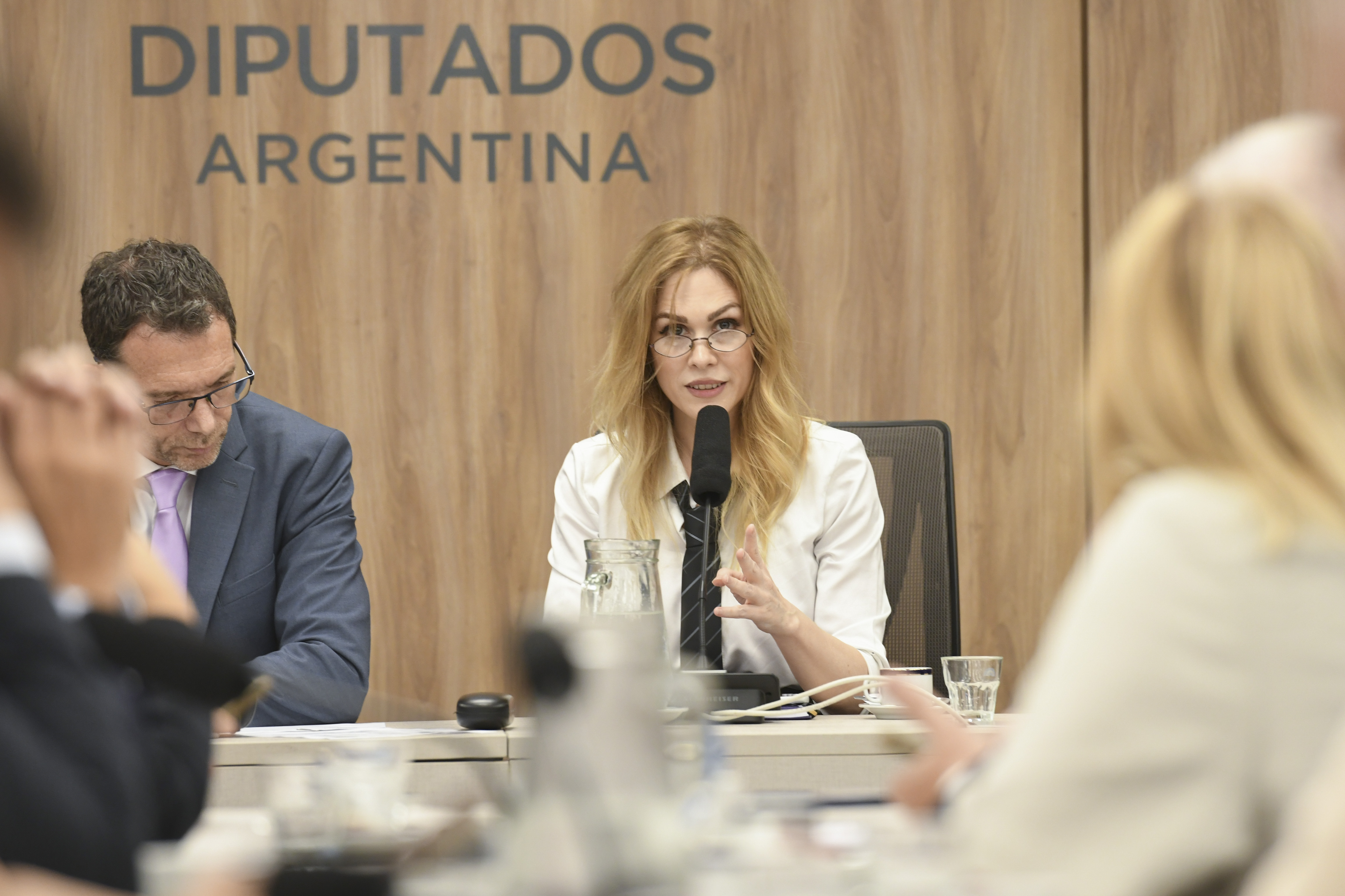 Galeria de imagenes de la noticia CONTINÚAN LAS REUNIONES CONSTITUTIVAS: DIPUTADOS CONFORMÓ OCHO NUEVAS COMISIONES