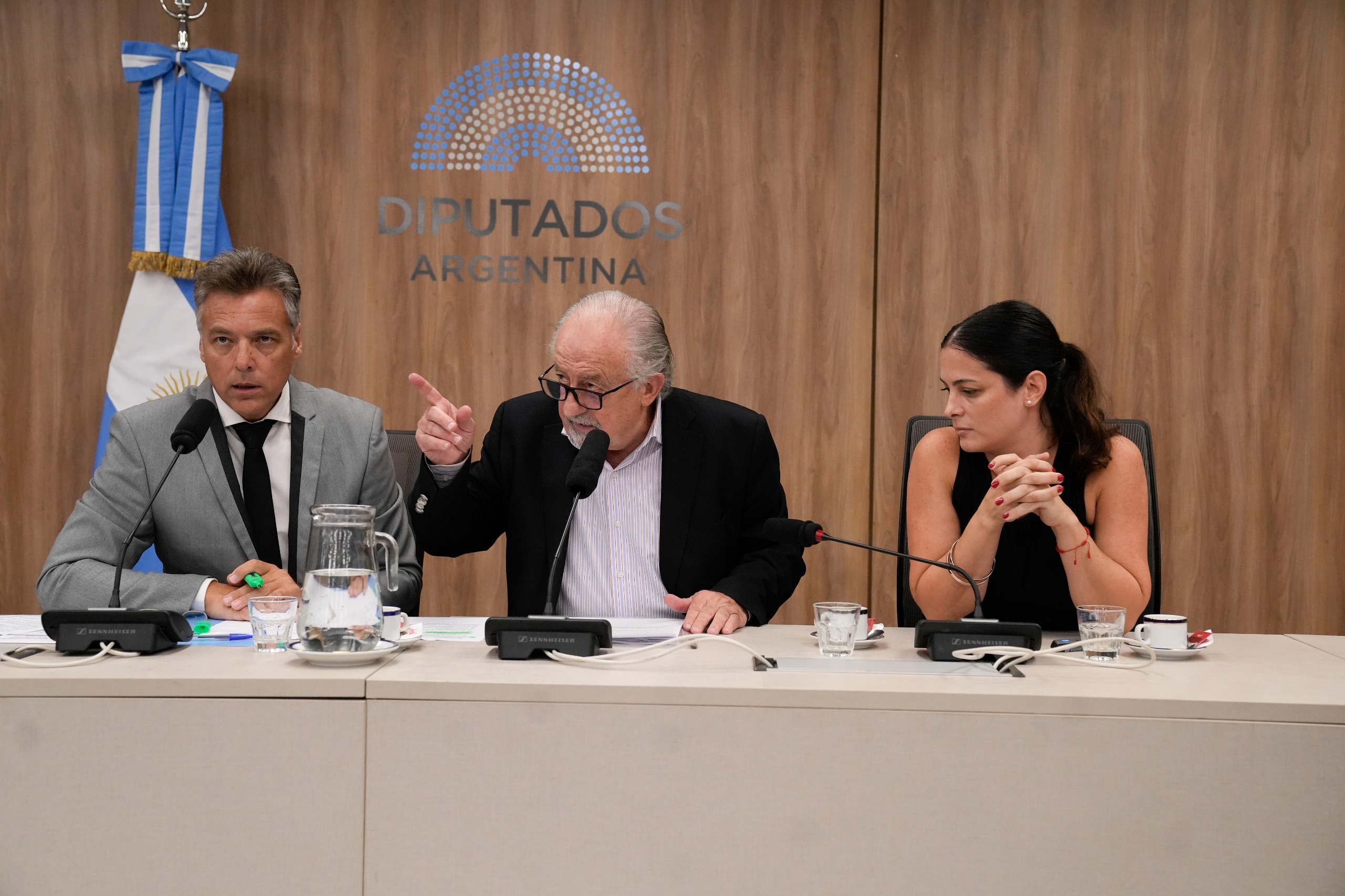 Galeria de imagenes de la noticia CONTINÚAN LAS REUNIONES CONSTITUTIVAS: DIPUTADOS CONFORMÓ OCHO NUEVAS COMISIONES