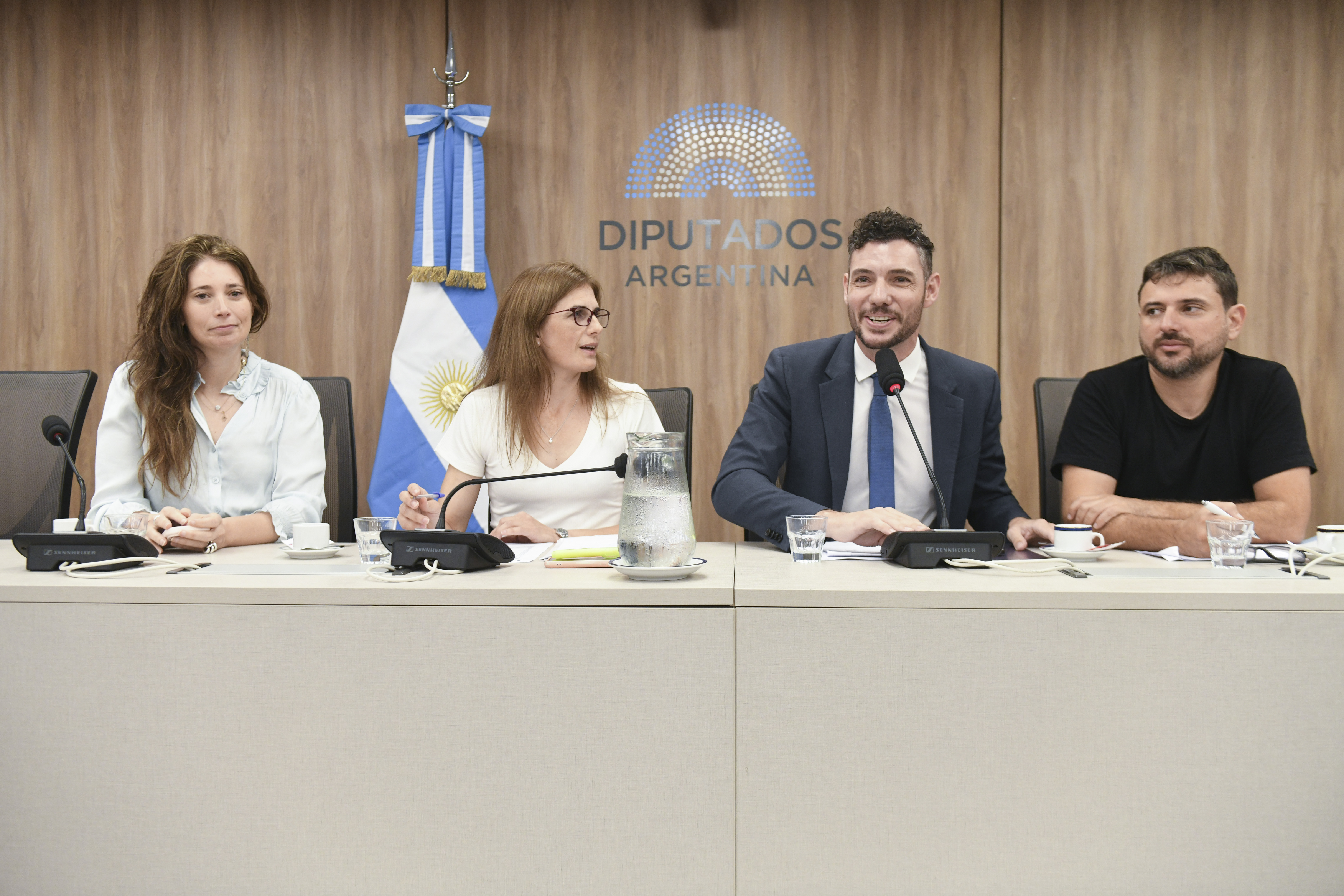 Galeria de imagenes de la noticia CONTINÚAN LAS REUNIONES CONSTITUTIVAS: DIPUTADOS CONFORMÓ OCHO NUEVAS COMISIONES