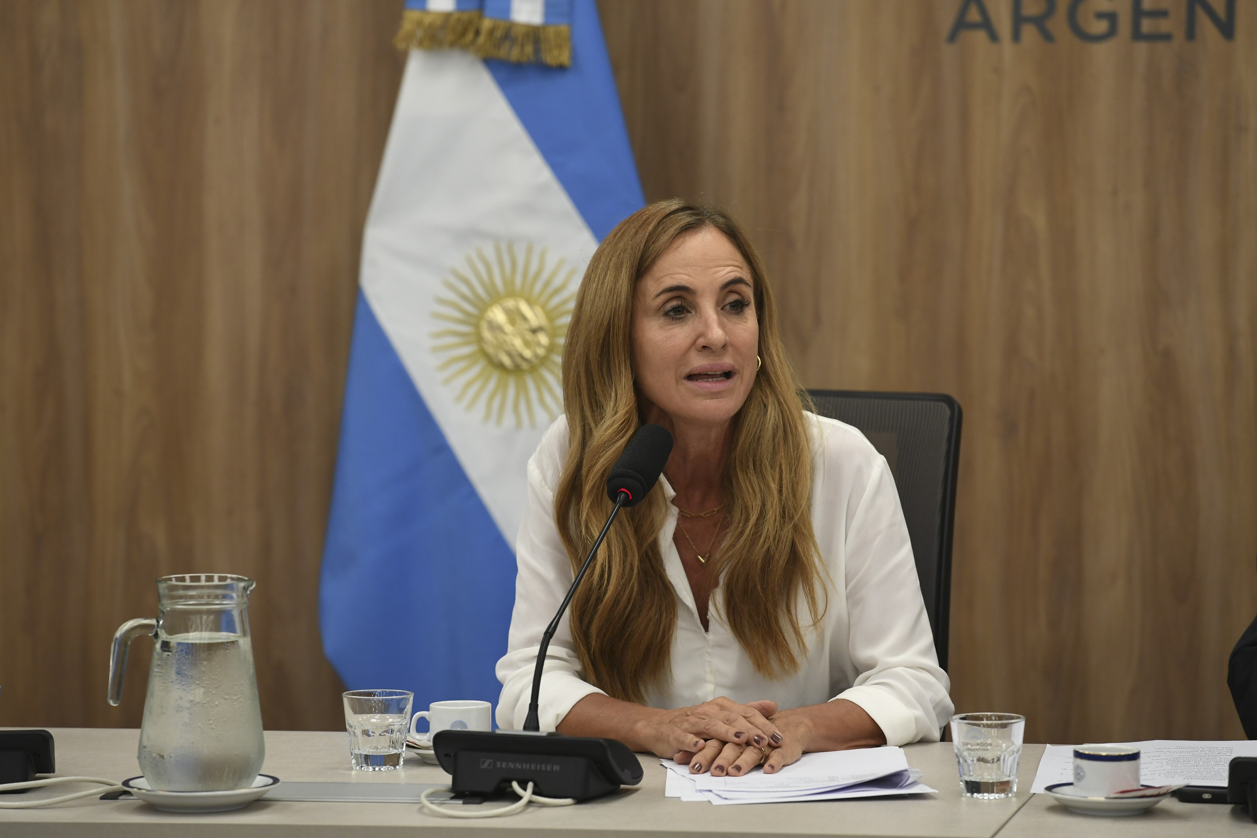 Galeria de imagenes de la noticia CONTINÚAN LAS REUNIONES CONSTITUTIVAS: DIPUTADOS CONFORMÓ OCHO NUEVAS COMISIONES