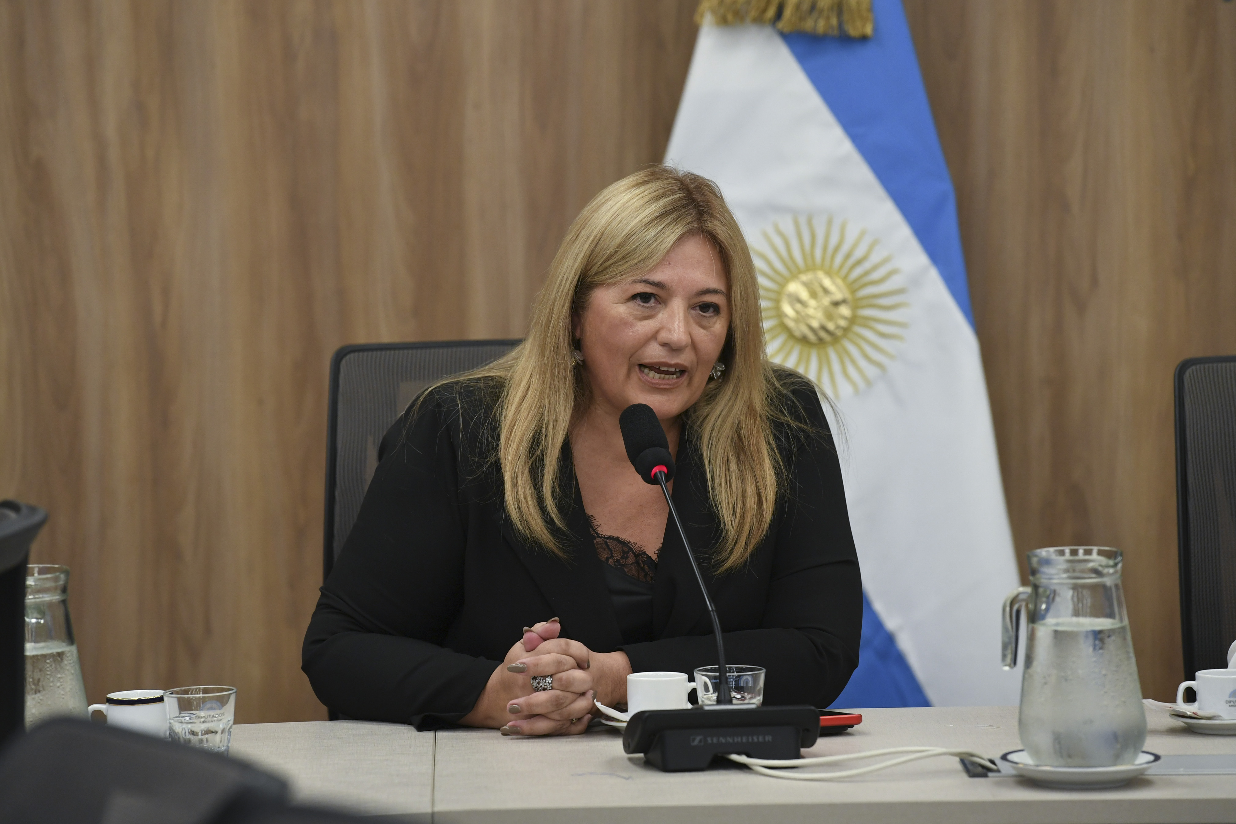 Galeria de imagenes de la noticia CONTINÚAN LAS REUNIONES CONSTITUTIVAS: DIPUTADOS CONFORMÓ OCHO NUEVAS COMISIONES