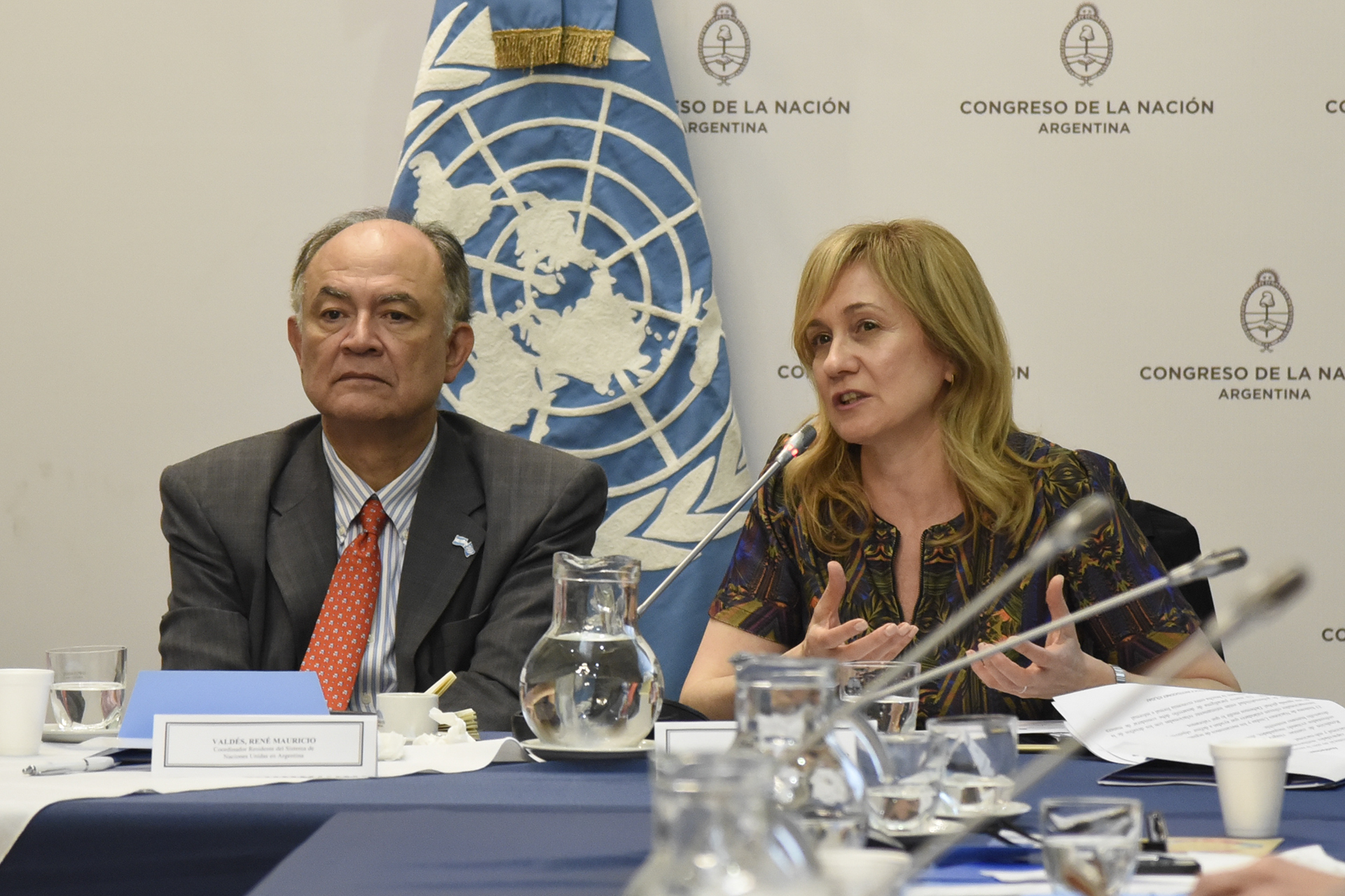 Galeria de imagenes de la noticia SE ANALIZÓ EL ROL DEL CONGRESO EN LA AGENDA 2030 DE DESARROLLO SOSTENIBLE