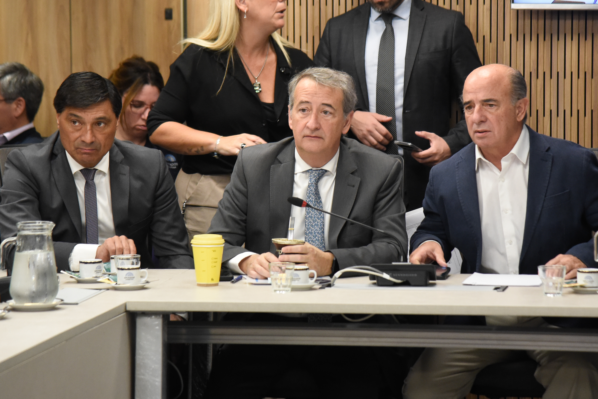 Galeria de imagenes de la noticia DIPUTADOS AVANZÓ EN LA CREACIÓN DE UN RÉGIMEN DE INVERSIONES PARA EL DESARROLLO AGROINDUSTRIAL