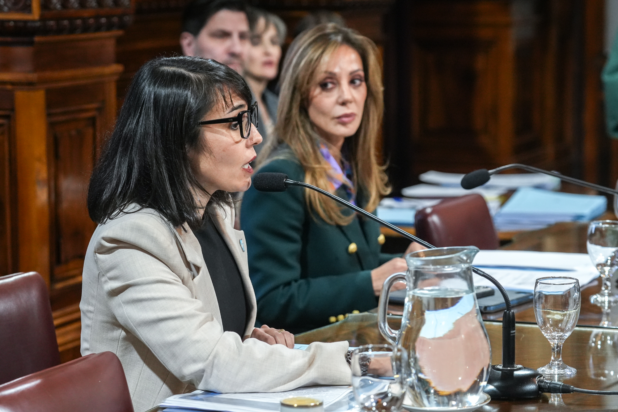 Galeria de imagenes de la noticia COMISIONES BICAMERALES DEFINIERON AUTORIDADES Y ESQUEMA DE FUNCIONAMIENTO
