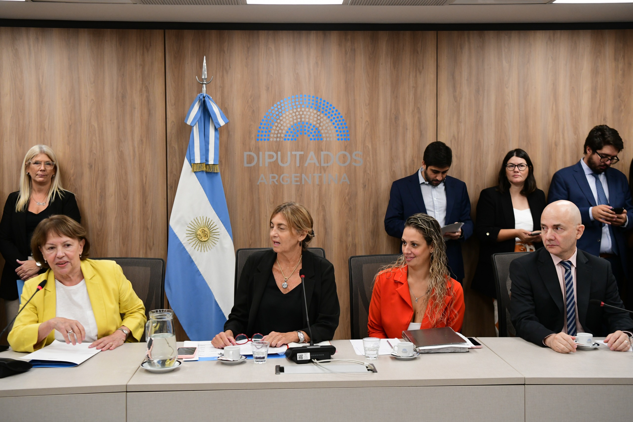 Galeria de imagenes de la noticia SEIS COMISIONES DE LA CÁMARA DE DIPUTADOS DESIGNARON SUS AUTORIDADES