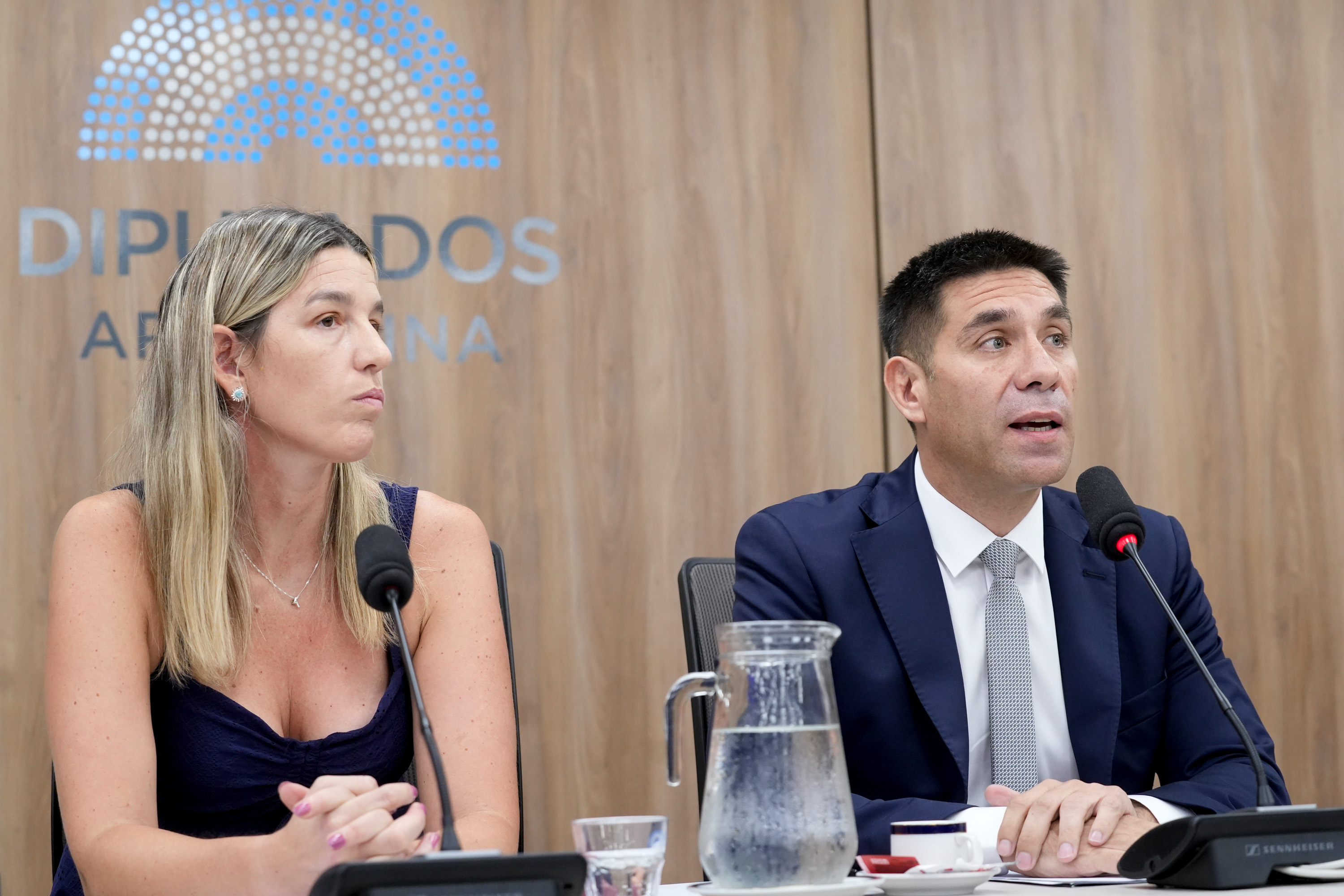 Galeria de imagenes de la noticia SEIS COMISIONES DE LA CÁMARA DE DIPUTADOS DESIGNARON SUS AUTORIDADES