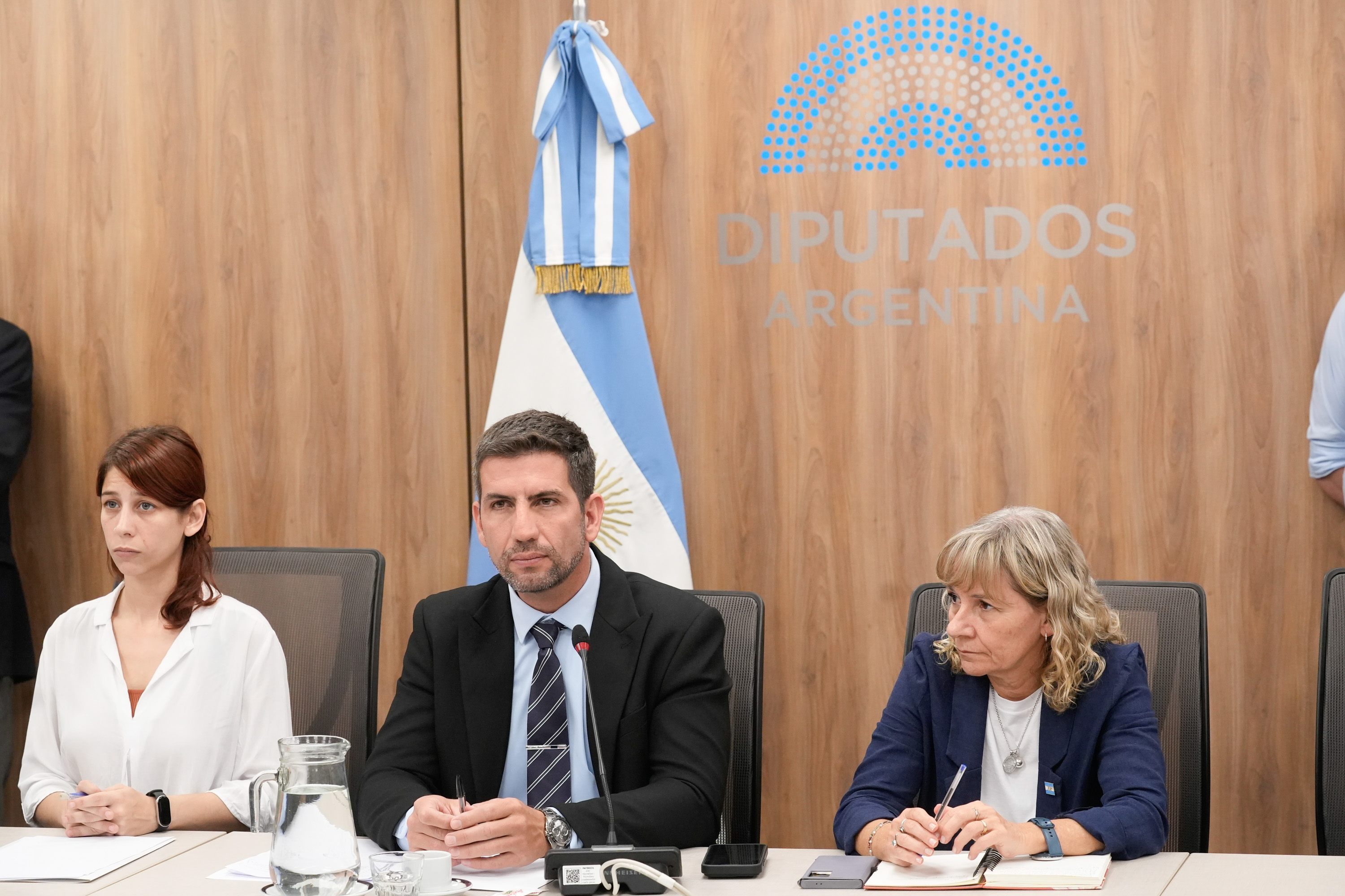 Galeria de imagenes de la noticia SEIS COMISIONES DE LA CÁMARA DE DIPUTADOS DESIGNARON SUS AUTORIDADES