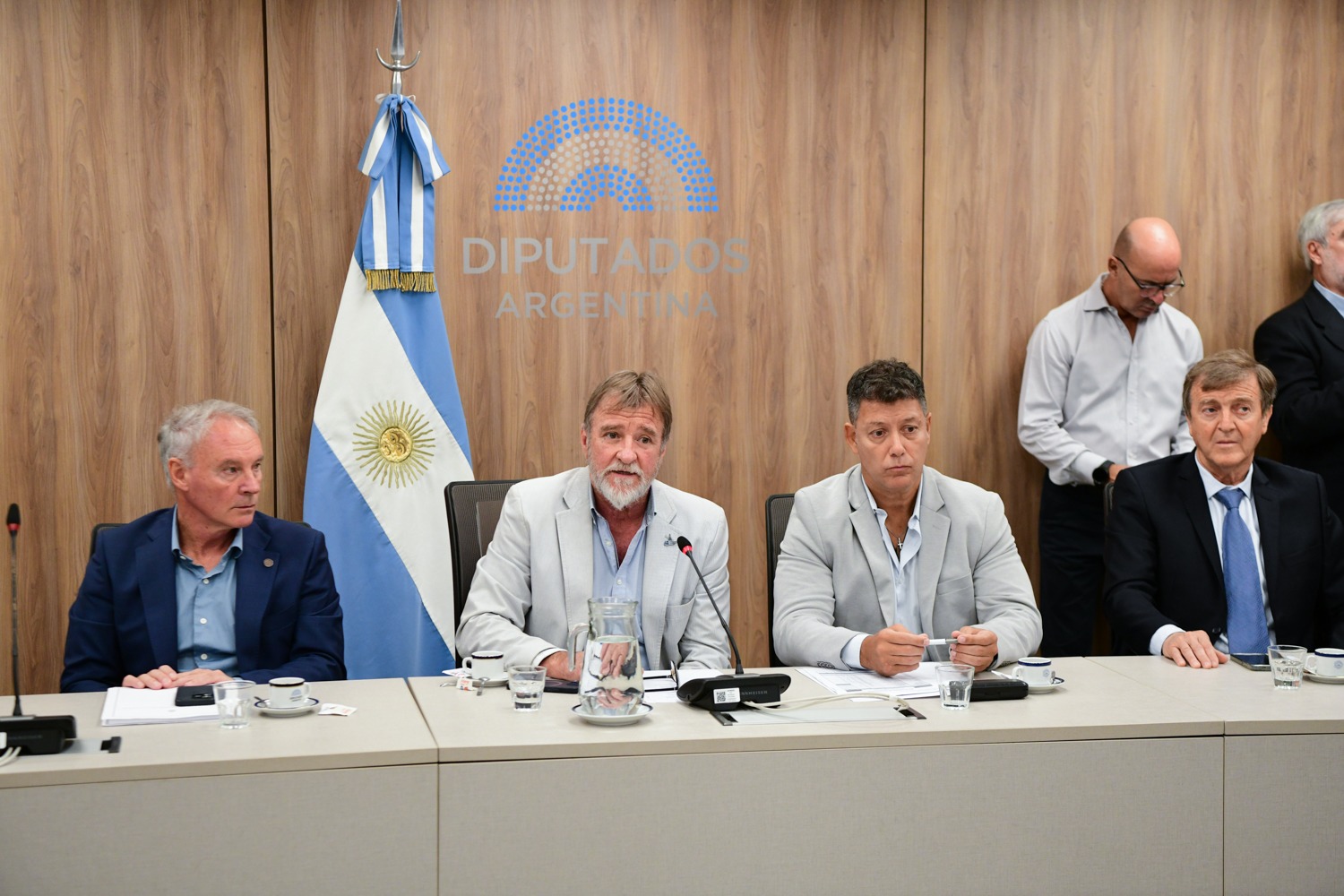 Galeria de imagenes de la noticia SEIS COMISIONES DE LA CÁMARA DE DIPUTADOS DESIGNARON SUS AUTORIDADES