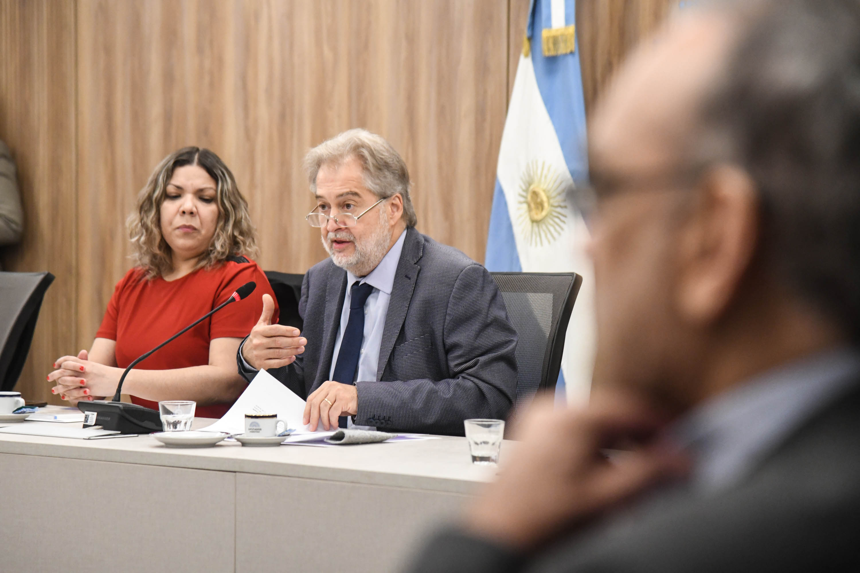 Galeria de imagenes de la noticia LA COMISIÓN DE MERCOSUR REALIZÓ UNA REUNIÓN INFORMATIVA