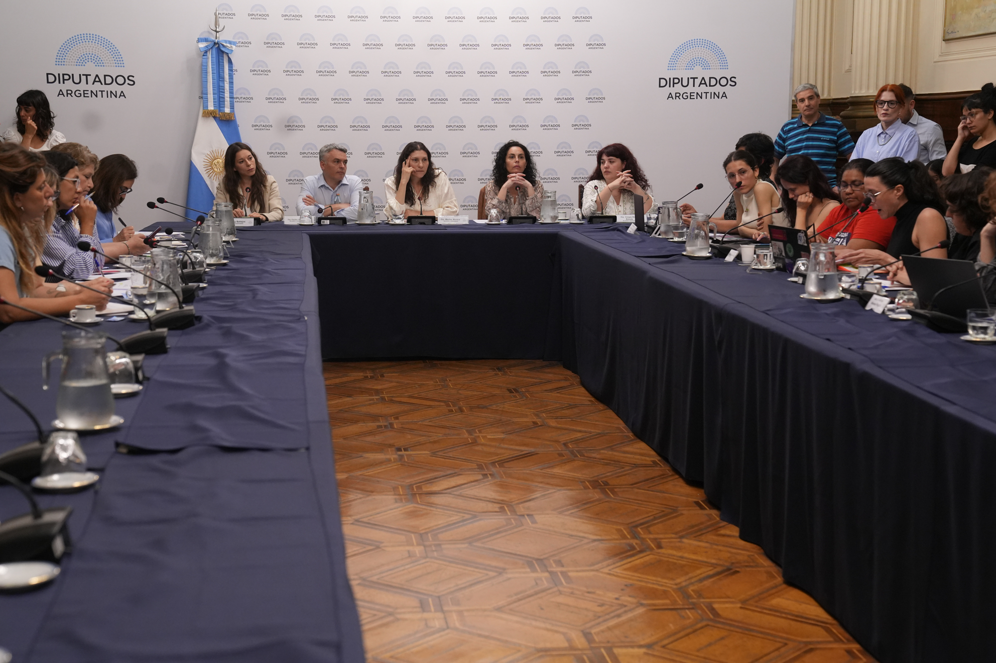 Galeria de imagenes de la noticia EN UNA REUNIÓN INFORMATIVA, LA COMISIÓN DE MUJERES Y DIVERSIDAD ANALIZÓ LA TEMÁTICA DE GÉNERO