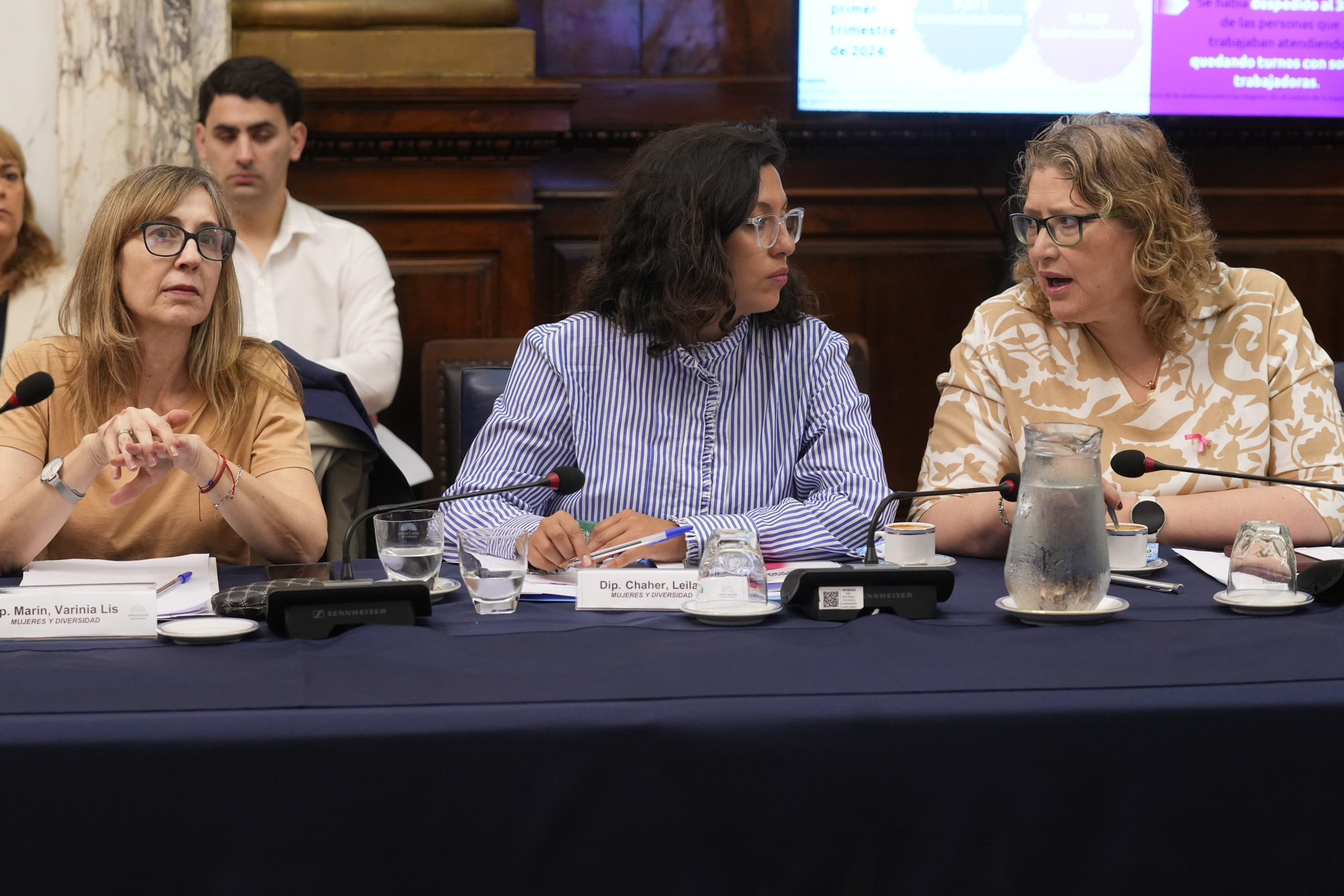 Galeria de imagenes de la noticia EN UNA REUNIÓN INFORMATIVA, LA COMISIÓN DE MUJERES Y DIVERSIDAD ANALIZÓ LA TEMÁTICA DE GÉNERO