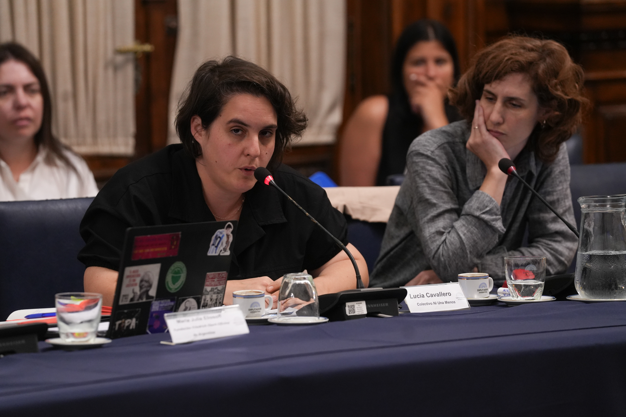 Galeria de imagenes de la noticia EN UNA REUNIÓN INFORMATIVA, LA COMISIÓN DE MUJERES Y DIVERSIDAD ANALIZÓ LA TEMÁTICA DE GÉNERO