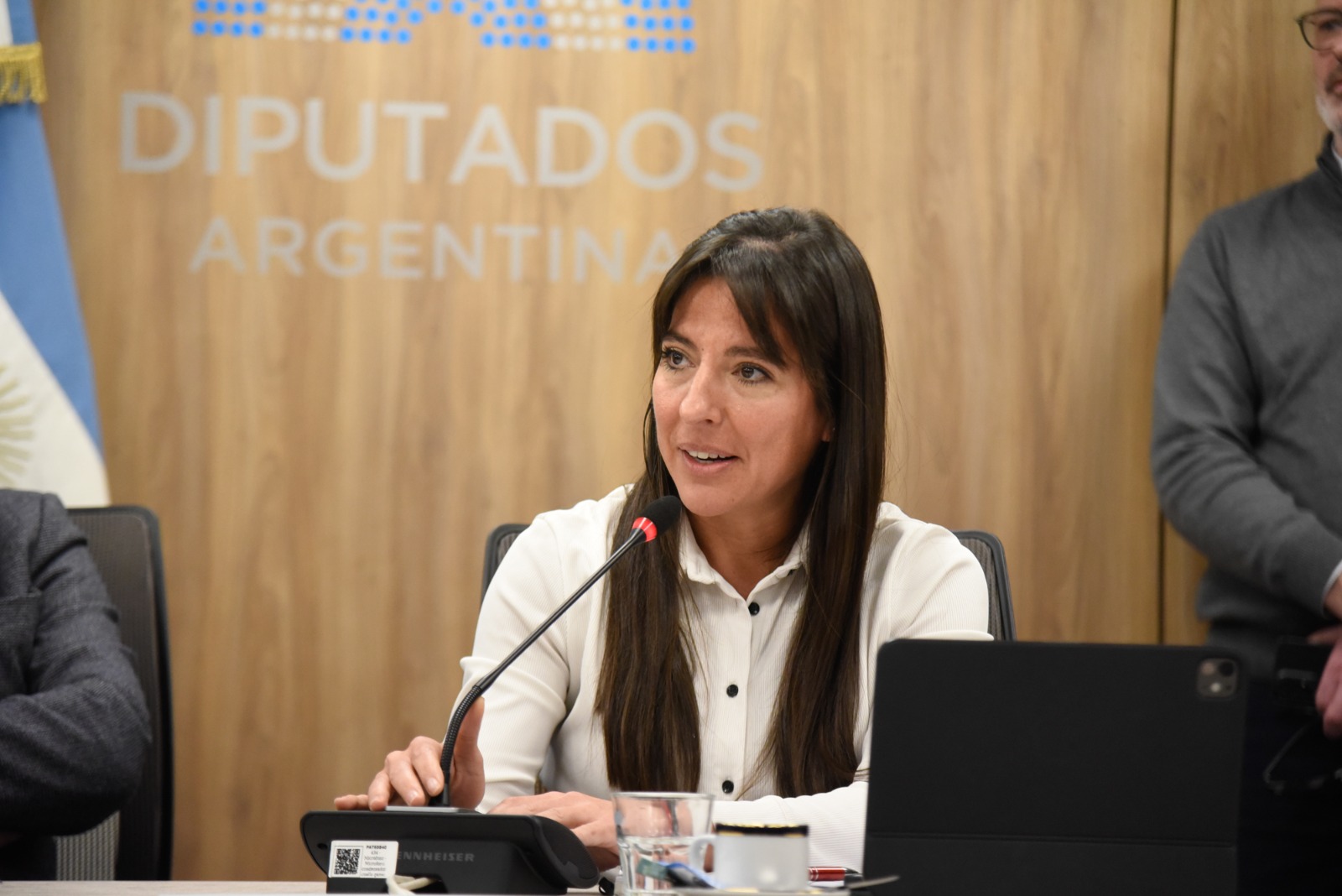 Galeria de imagenes de la noticia EL PRESIDENTE DEL COMITÉ FEDERAL DE TRANSPORTE EXPUSO ANTE UNA COMISIÓN EN DIPUTADOS